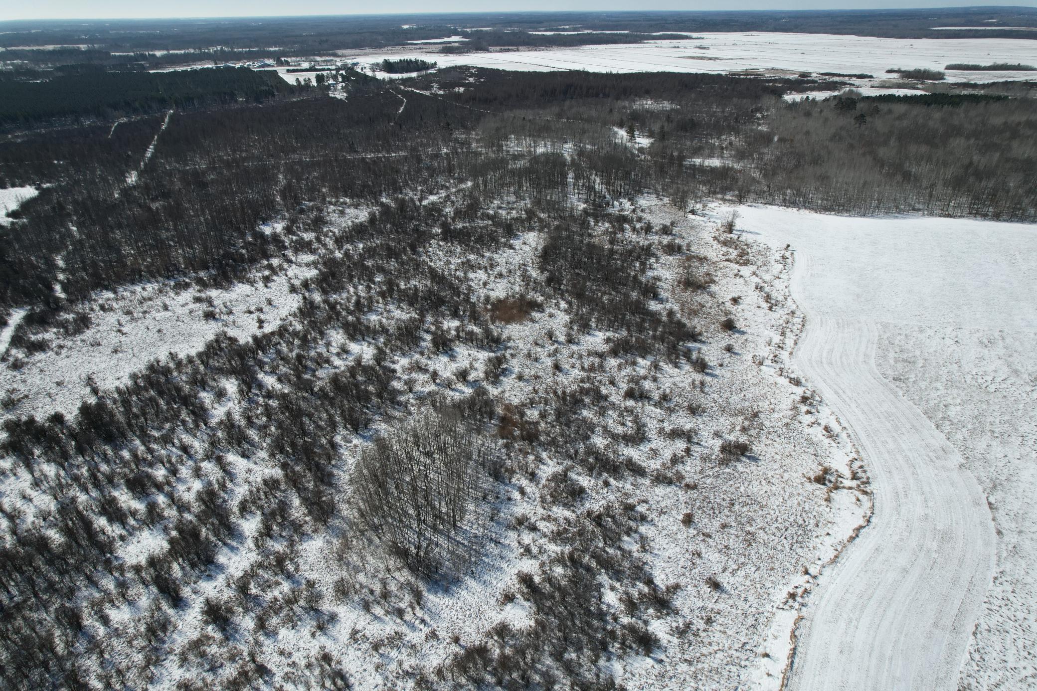 1911 land for sale at TBD County Road 14 in Sebeka, MN (photo 9 of 87)