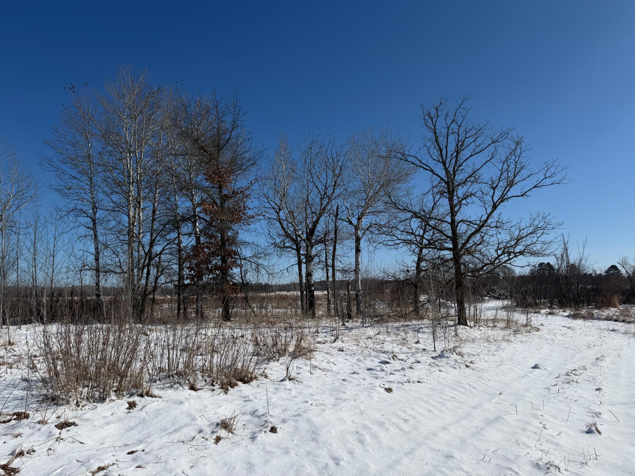 1911 land for sale at TBD County Road 14 in Sebeka, MN (photo 82 of 87)
