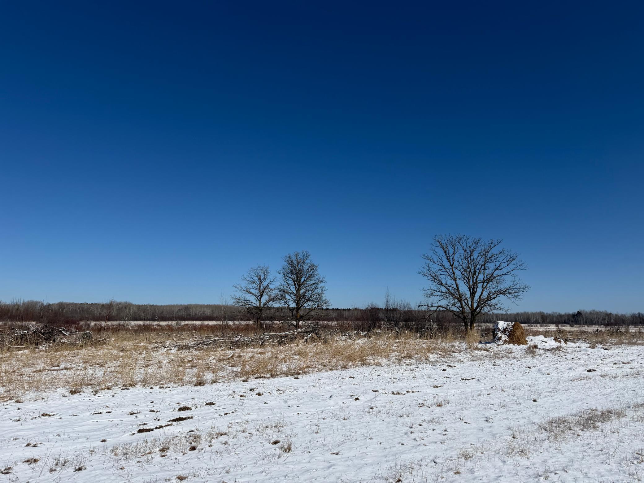 1911 land for sale at TBD County Road 14 in Sebeka, MN (photo 83 of 87)
