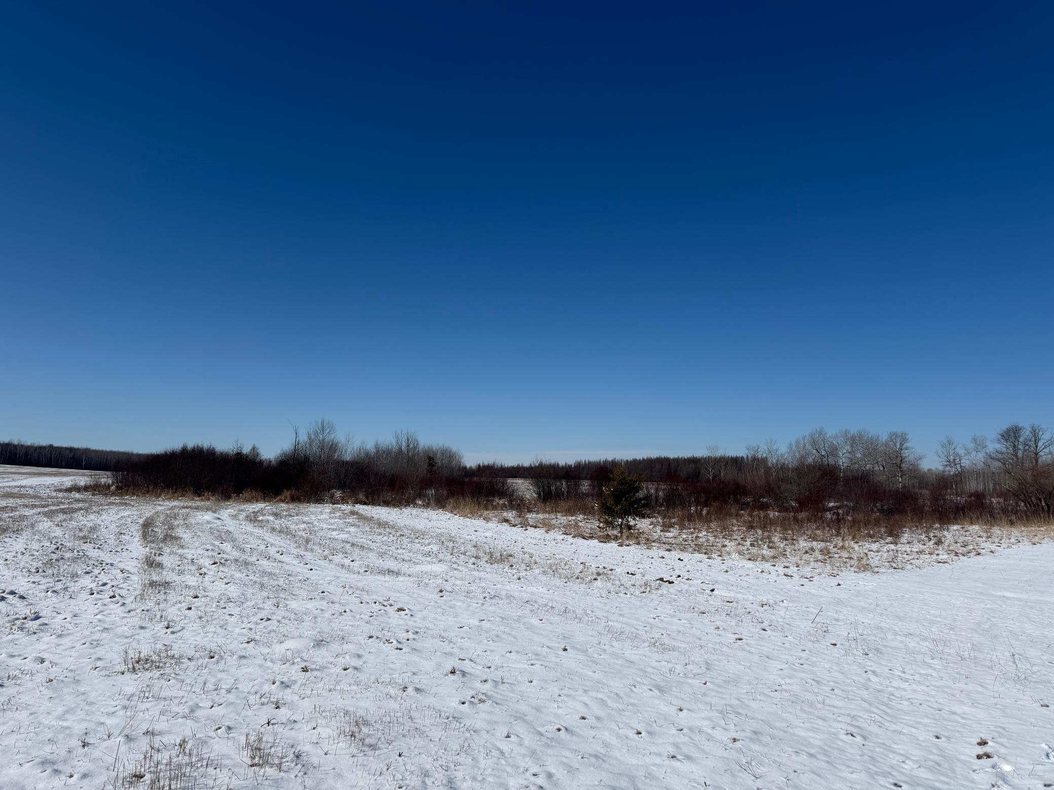 1911 land for sale at TBD County Road 14 in Sebeka, MN (photo 84 of 87)