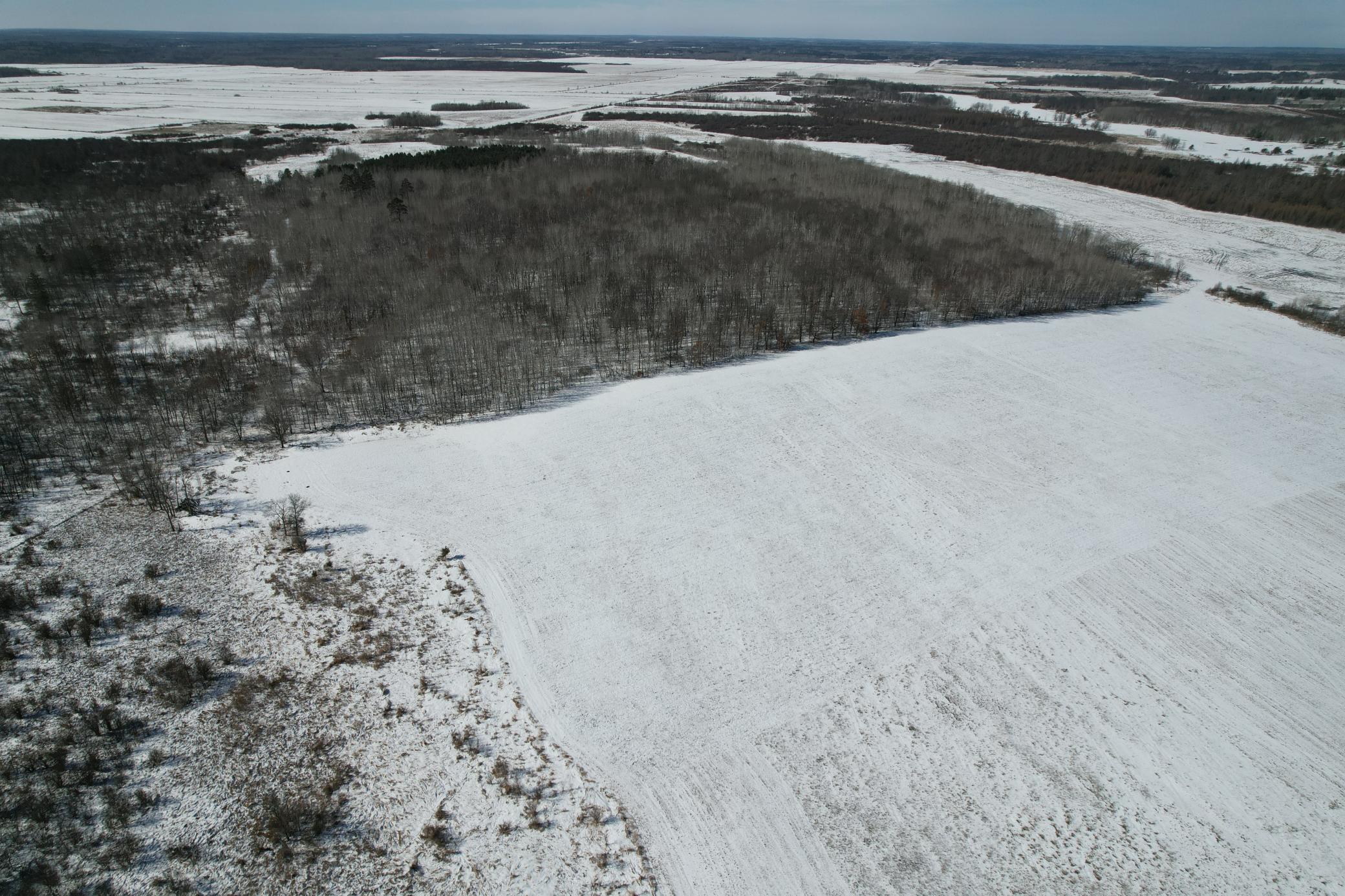 1911 land for sale at TBD County Road 14 in Sebeka, MN (photo 10 of 87)