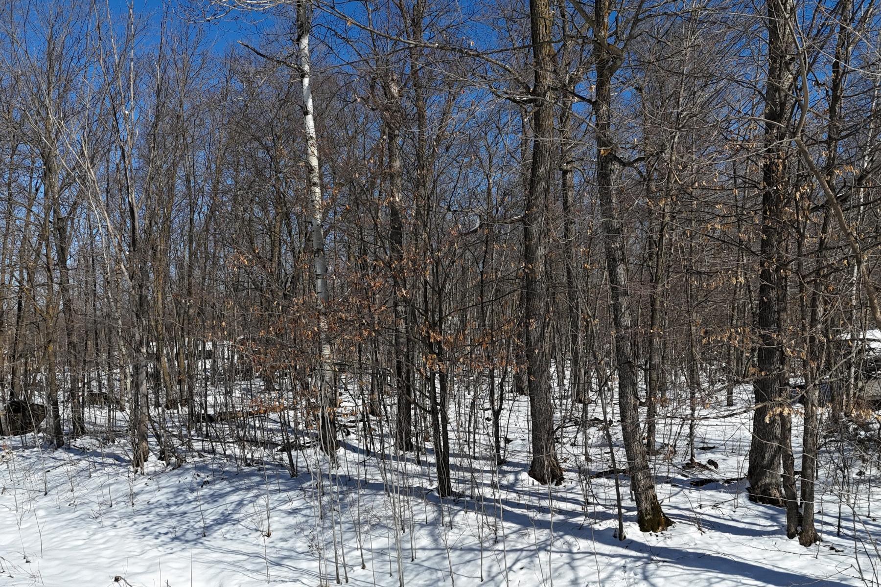 land for sale at TBD 327th Avenue in Isle, MN (photo 7 of 9)
