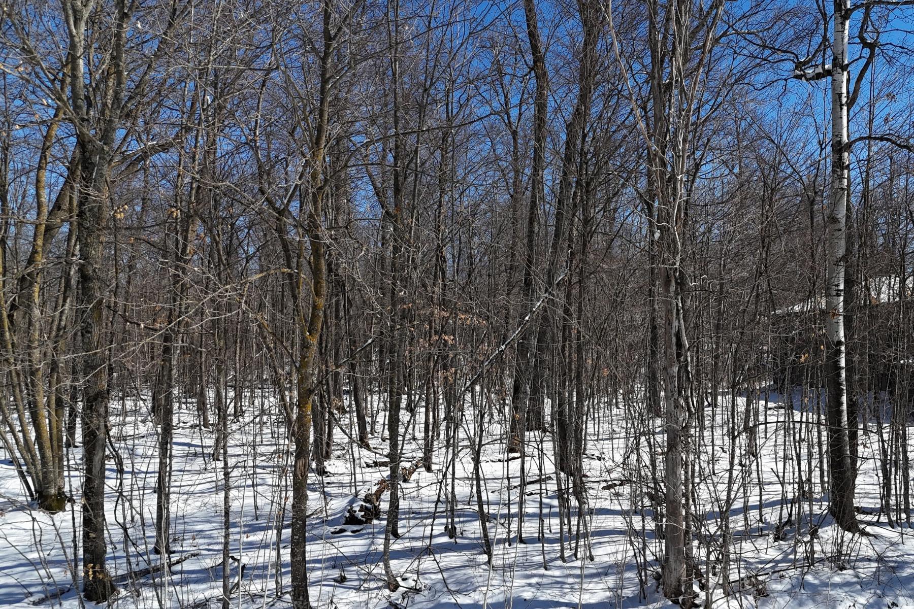 land for sale at TBD 327th Avenue in Isle, MN (photo 8 of 9)