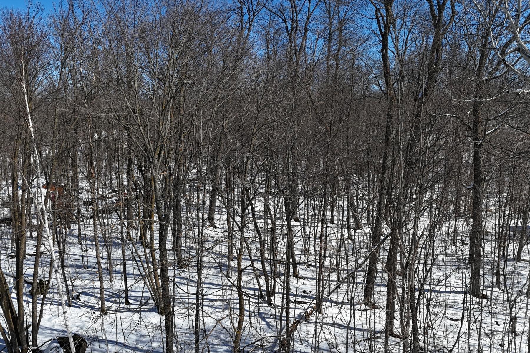 land for sale at TBD 327th Avenue in Isle, MN (photo 9 of 9)