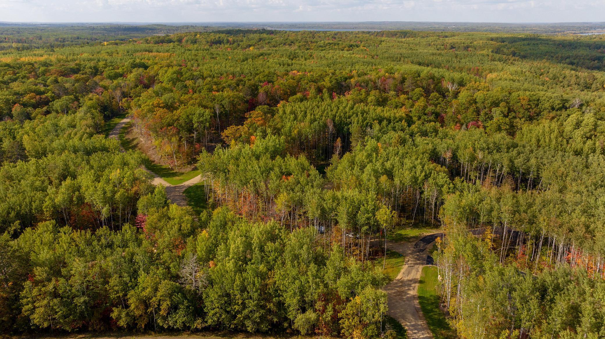 land for sale at TBD Lot 8 Ridgeway Court in Walker, MN (photo 3 of 5)