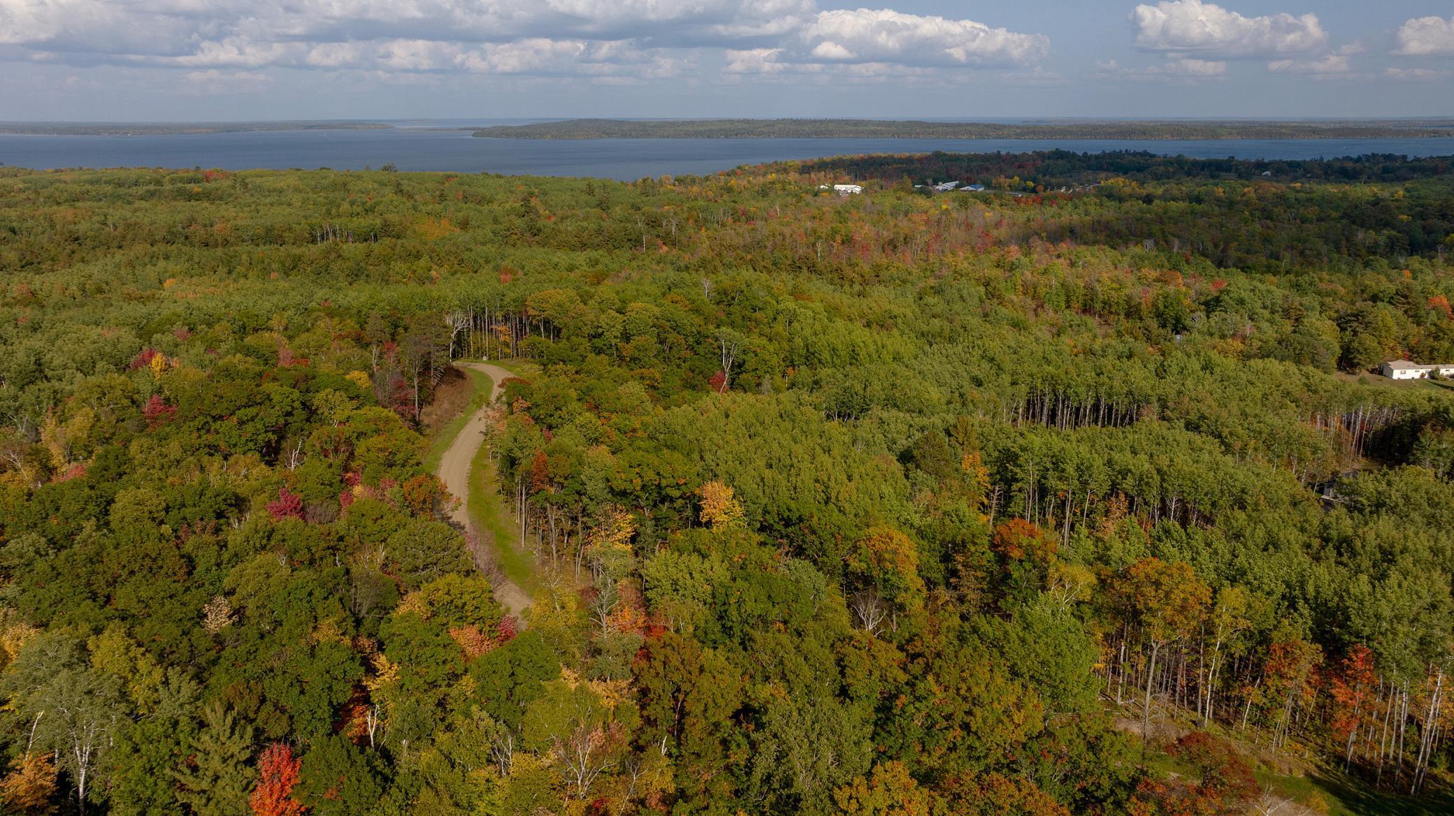 land for sale at TBD Lot 8 Ridgeway Court in Walker, MN (photo 5 of 5)