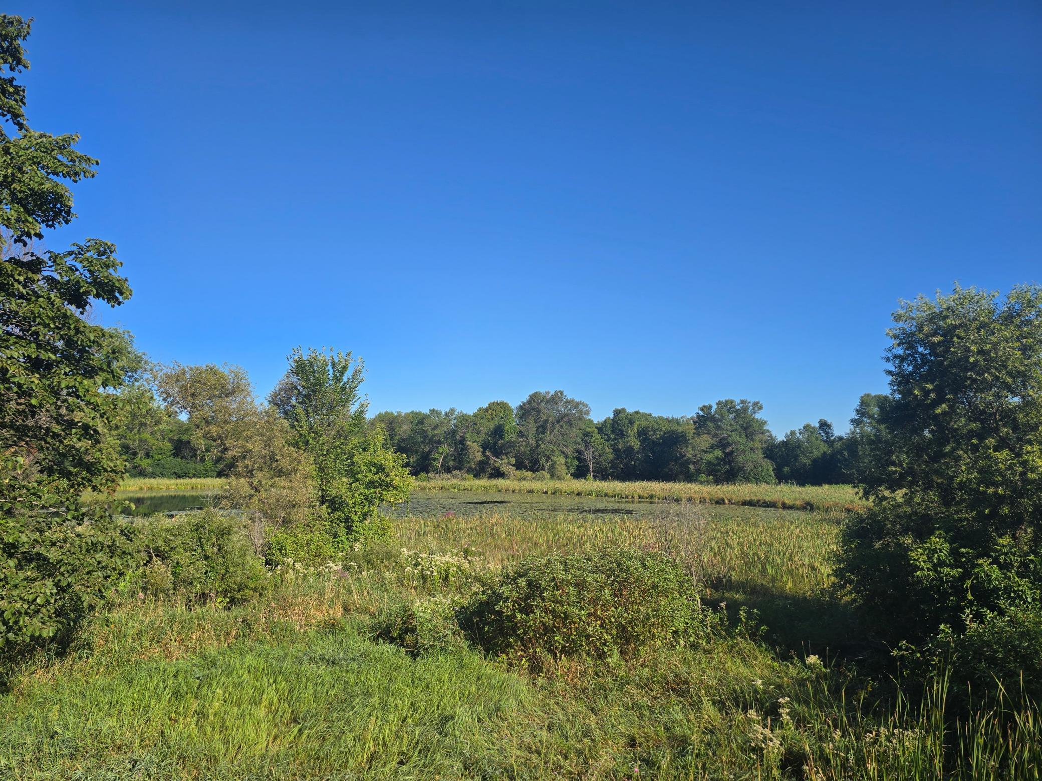 29151 Pleasant Lake Road, Underwood MN 56586 - Photo 10 of 15