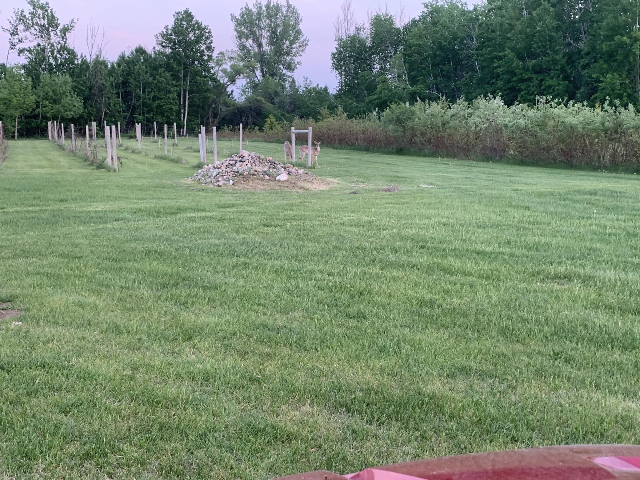 18779 35th Avenue N, Hawley MN 56549 - Photo 62 of 65