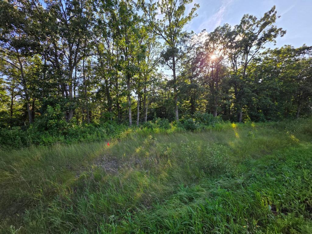 land for sale at 2759 State Highway in Waubun, MN (photo 6 of 9)