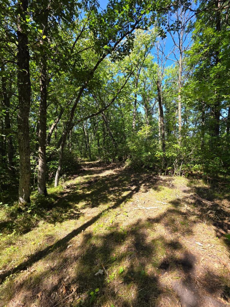 land for sale at 2759 State Highway in Waubun, MN (photo 7 of 9)