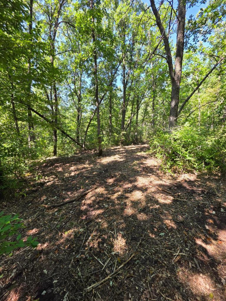 land for sale at 2759 State Highway in Waubun, MN (photo 8 of 9)