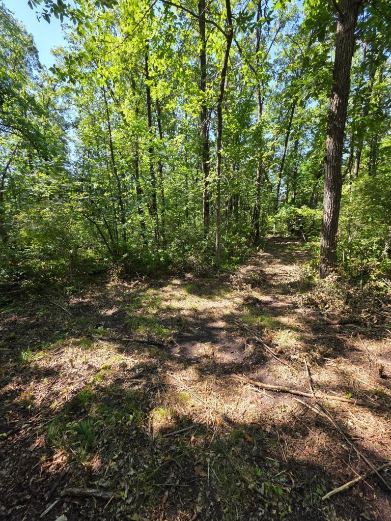 land for sale at 2759 State Highway in Waubun, MN (photo 9 of 9)