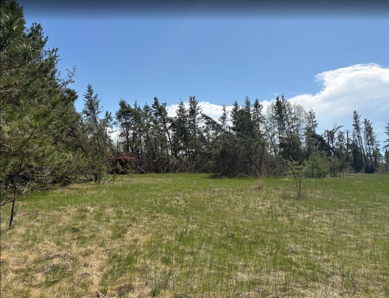 land for sale at 189 Division Street W in Bemidji, MN (photo 3 of 6)