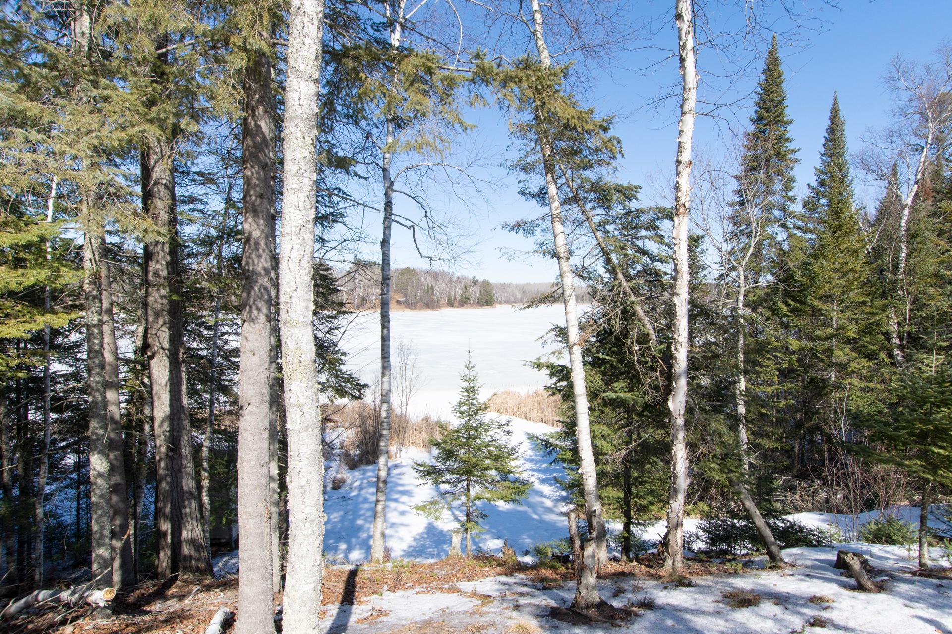 2019 single family home for sale at 25440 O'Donnell Lane in Bigfork, MN — 3 bed, 2 bath (photo 10 of 55)
