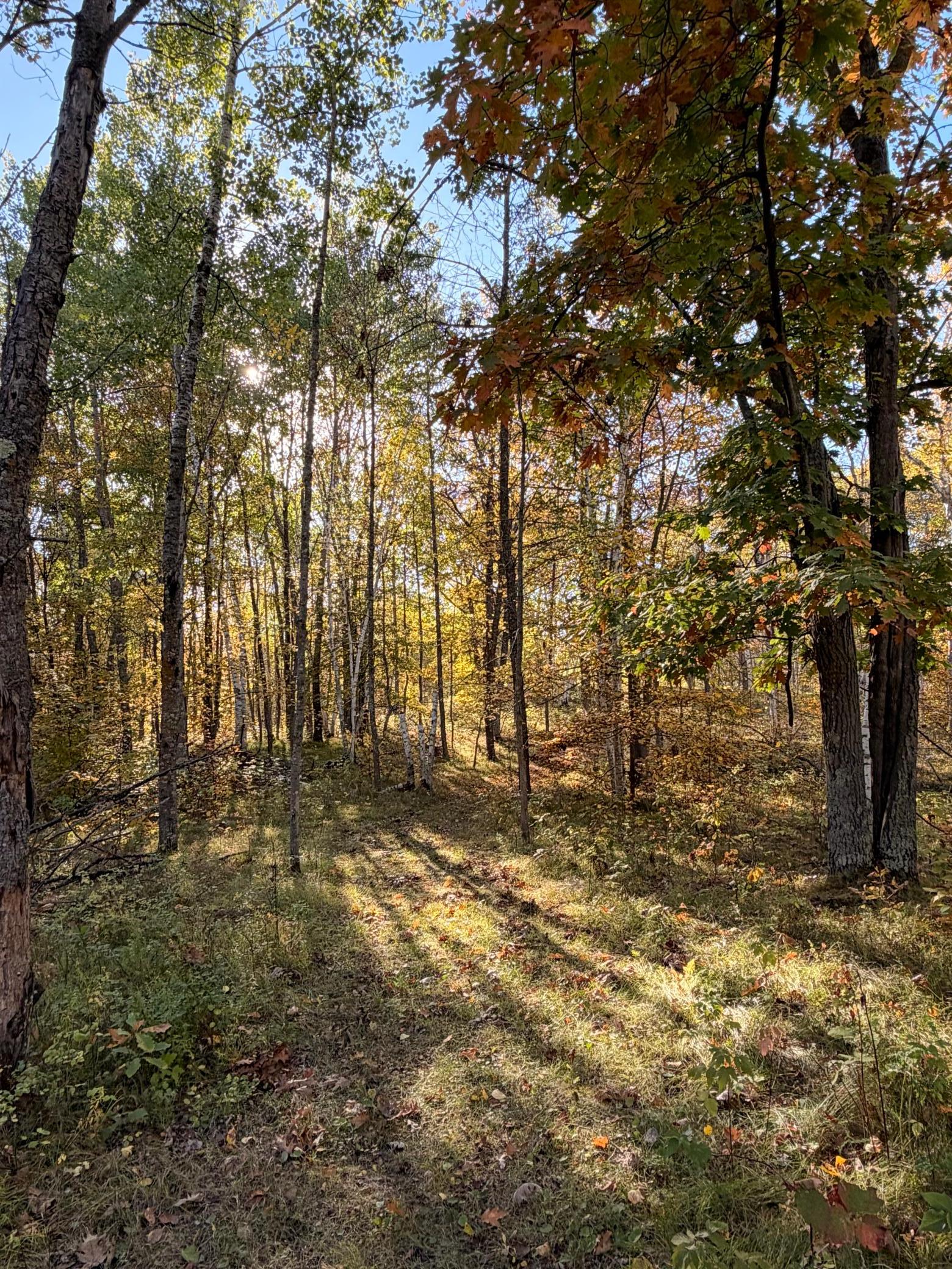 1990 single family home for sale at 24281 Hazel Wood Drive in Park Rapids, MN — 3 bed, 2 bath (photo 59 of 80)