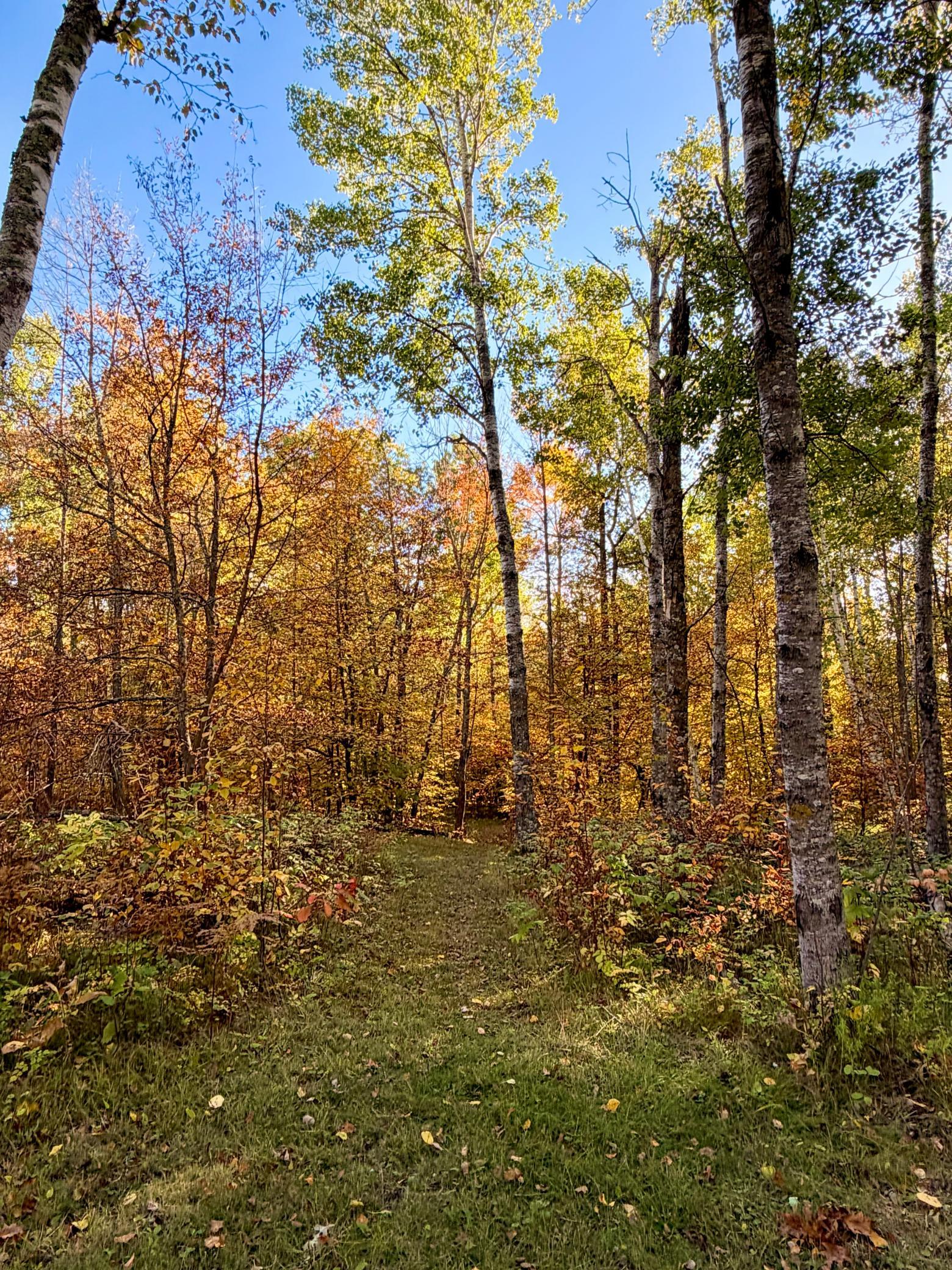 1990 single family home for sale at 24281 Hazel Wood Drive in Park Rapids, MN — 3 bed, 2 bath (photo 60 of 80)