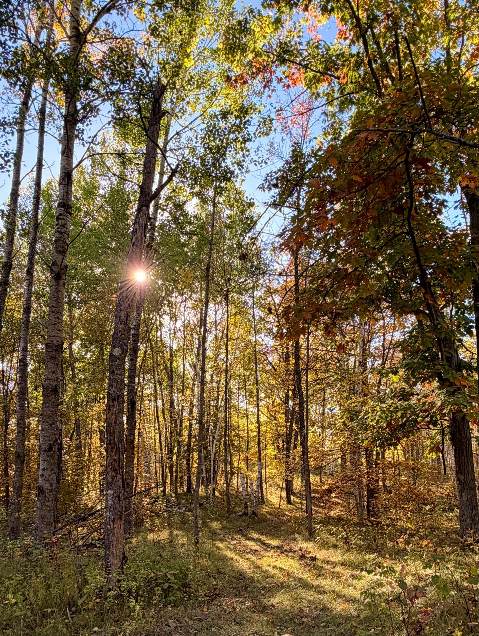 1990 single family home for sale at 24281 Hazel Wood Drive in Park Rapids, MN — 3 bed, 2 bath (photo 61 of 80)