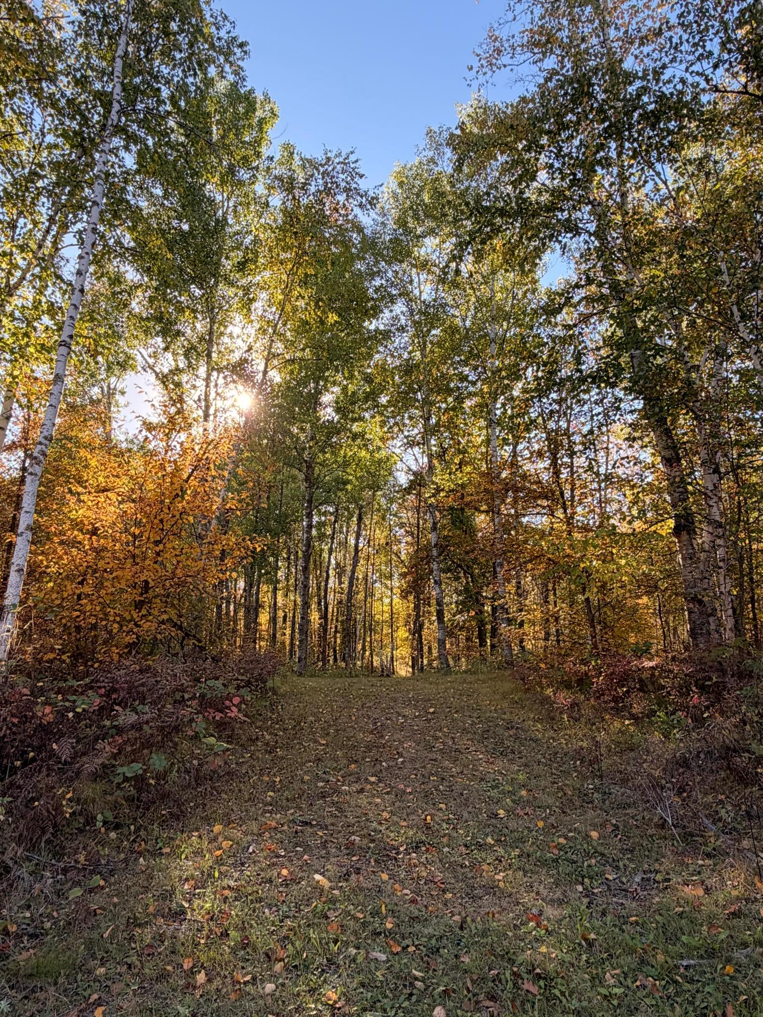1990 single family home for sale at 24281 Hazel Wood Drive in Park Rapids, MN — 3 bed, 2 bath (photo 63 of 80)