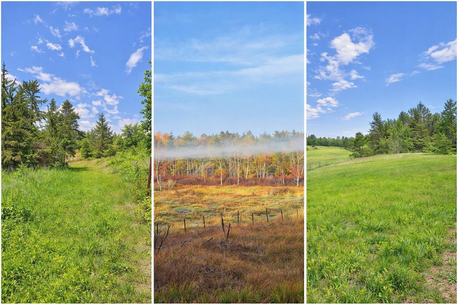 1986 land for sale at Lot B County Road 134 in Pine River, MN