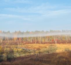 xxx County Road 134, Pine River MN 56474 - Photo 8 of 11