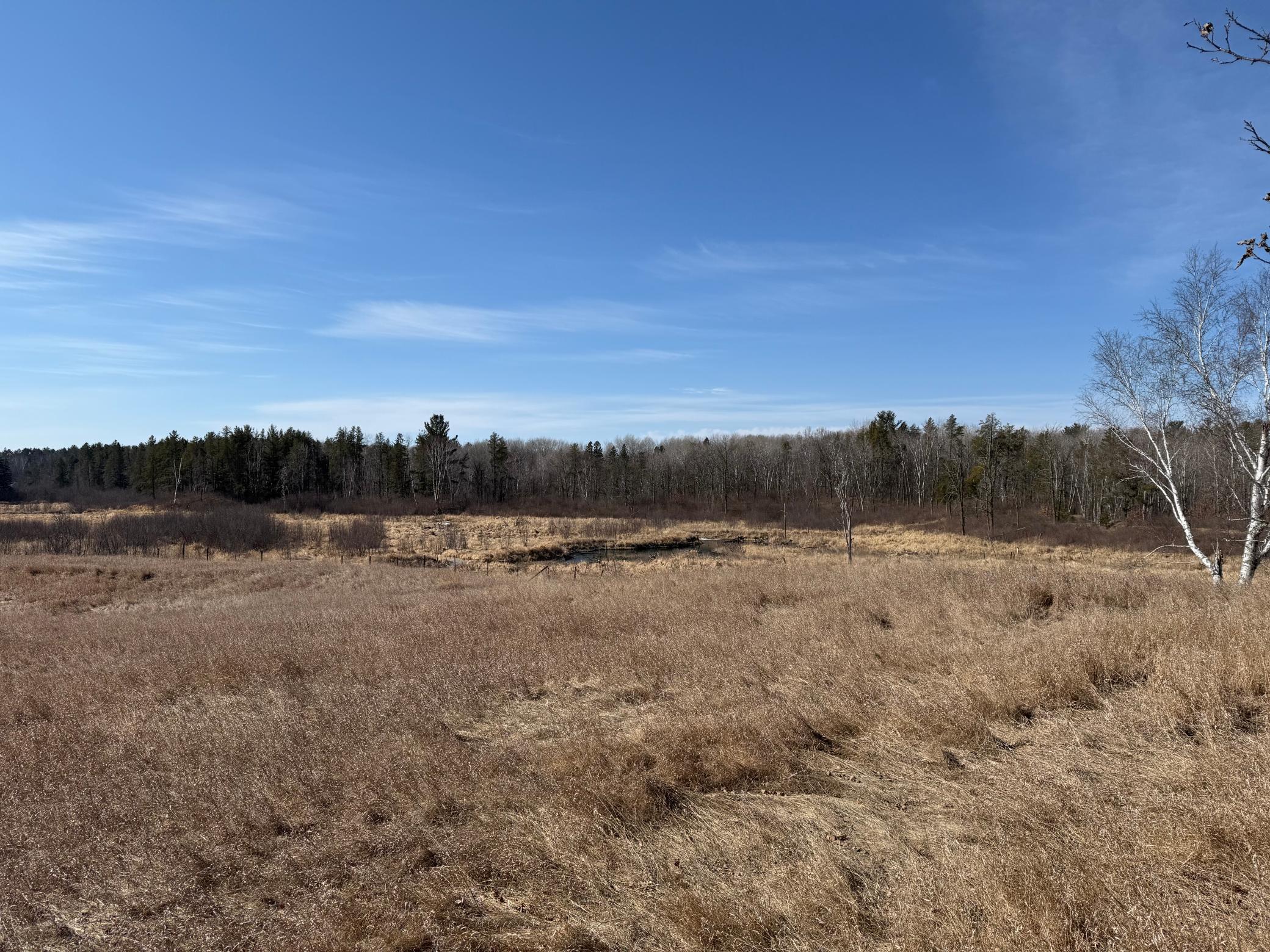 1986 land for sale at Lot B County Road 134 in Pine River, MN (photo 9 of 24)