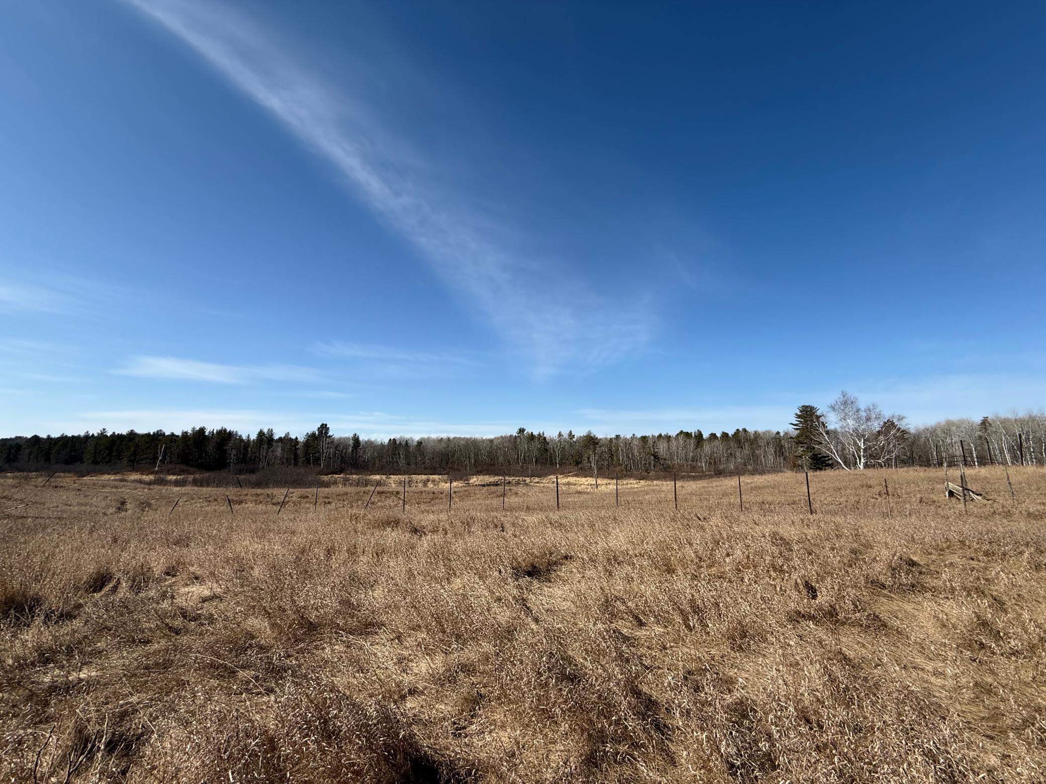 1986 land for sale at Lot B County Road 134 in Pine River, MN (photo 10 of 24)