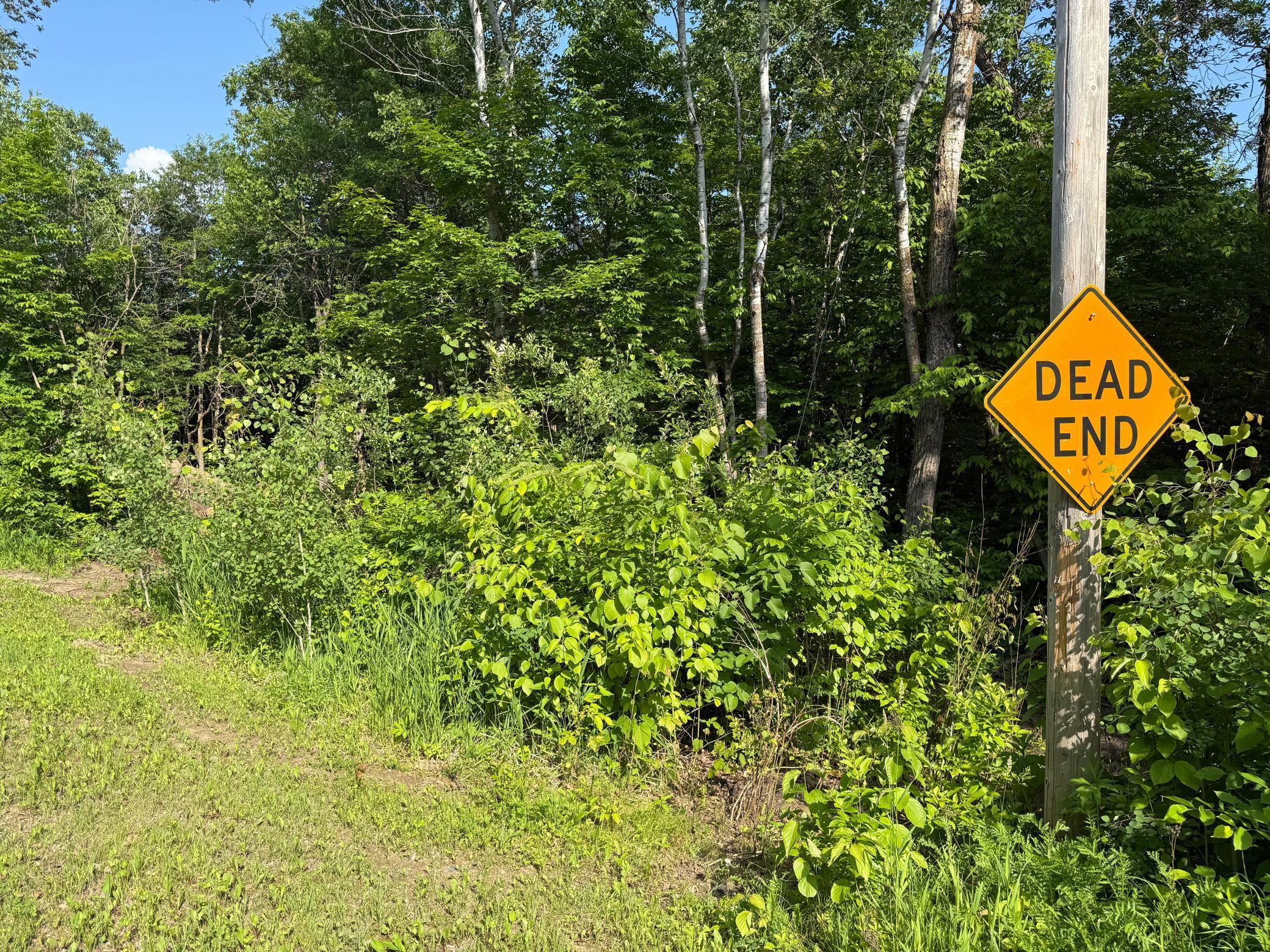 land for sale at TBD Catherine Lane in White Earth, MN (photo 13 of 33)