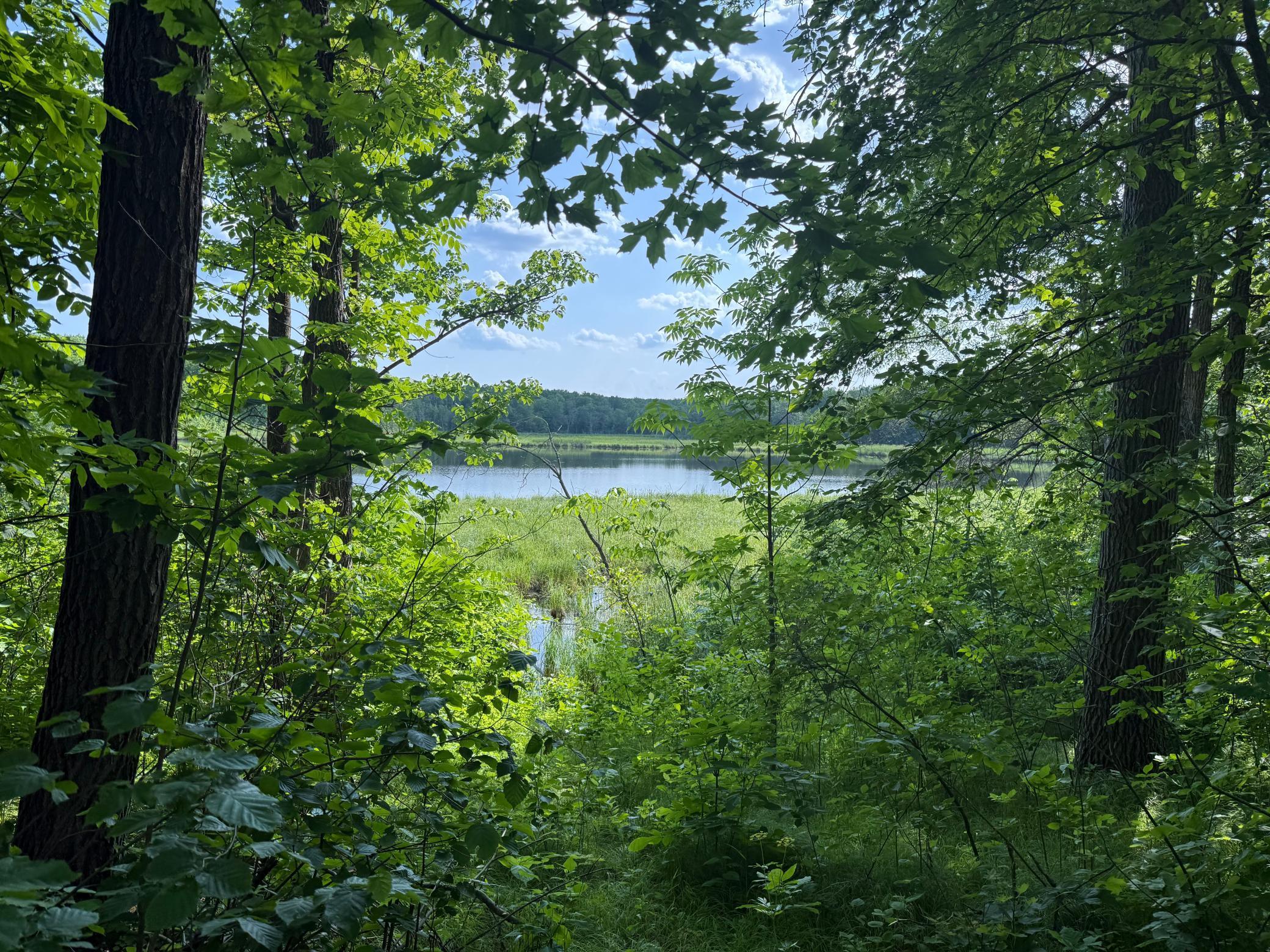 land for sale at TBD Catherine Lane in White Earth, MN (photo 15 of 33)
