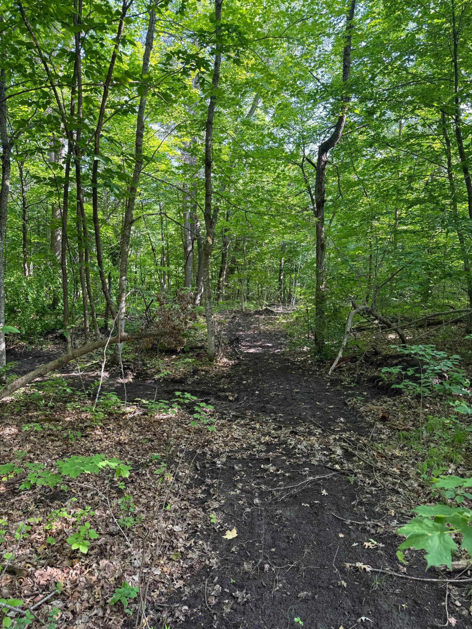 land for sale at TBD Catherine Lane in White Earth, MN (photo 21 of 33)