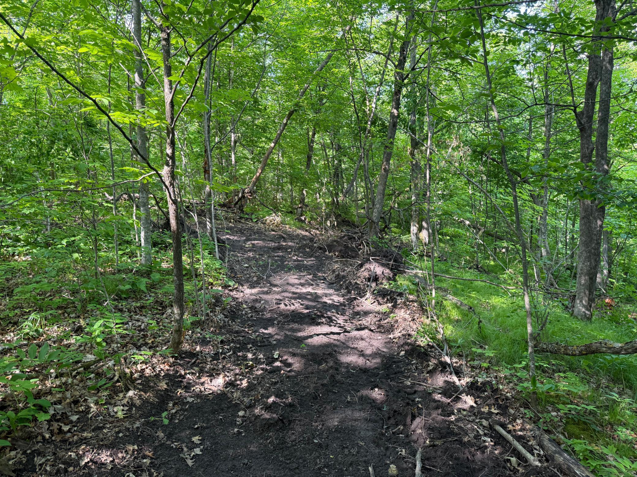 land for sale at TBD Catherine Lane in White Earth, MN (photo 23 of 33)