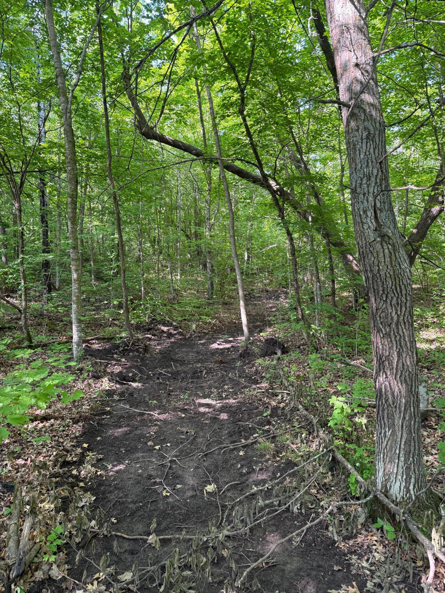 land for sale at TBD Catherine Lane in White Earth, MN (photo 29 of 33)
