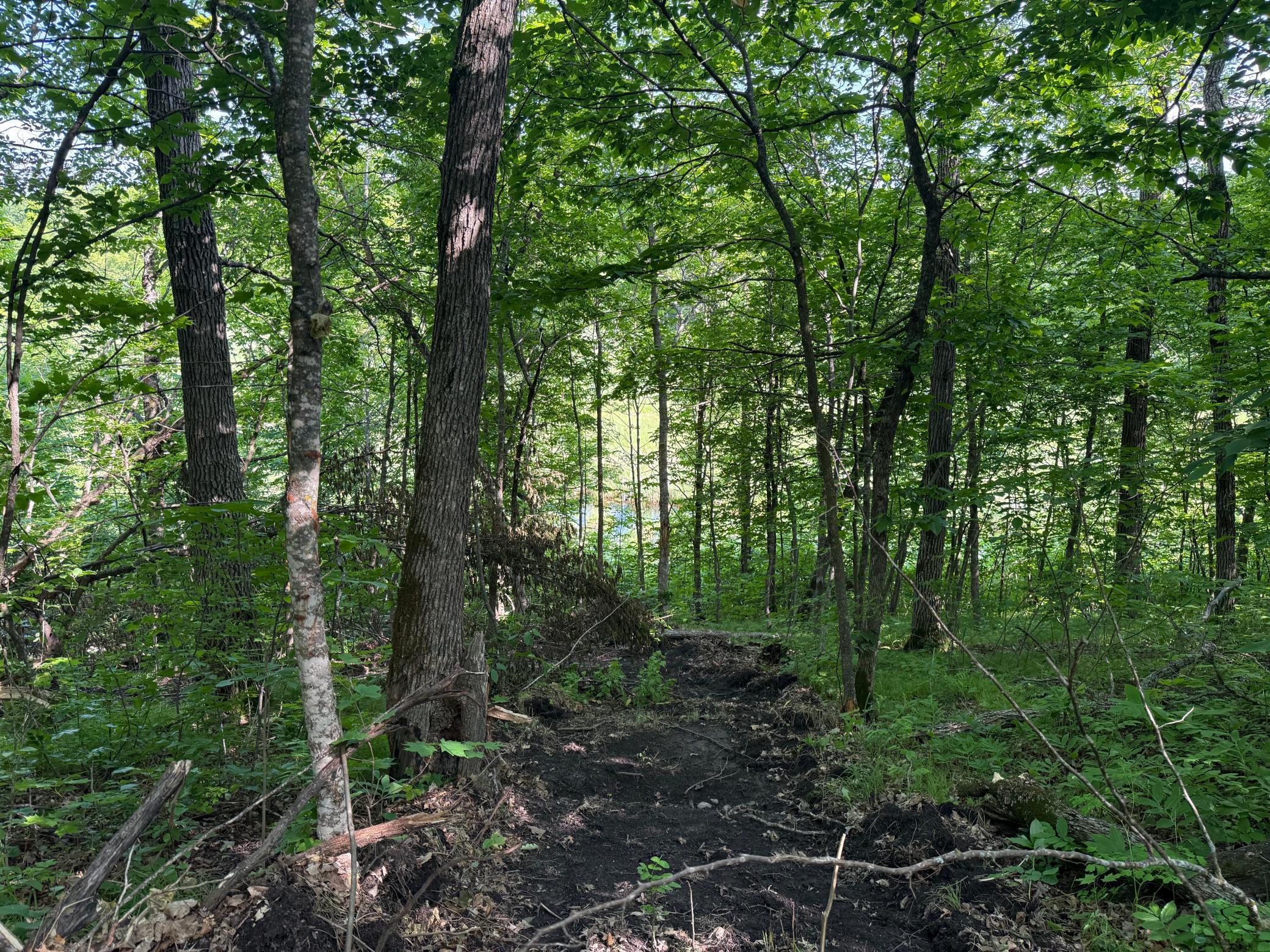 land for sale at TBD Catherine Lane in White Earth, MN (photo 31 of 33)