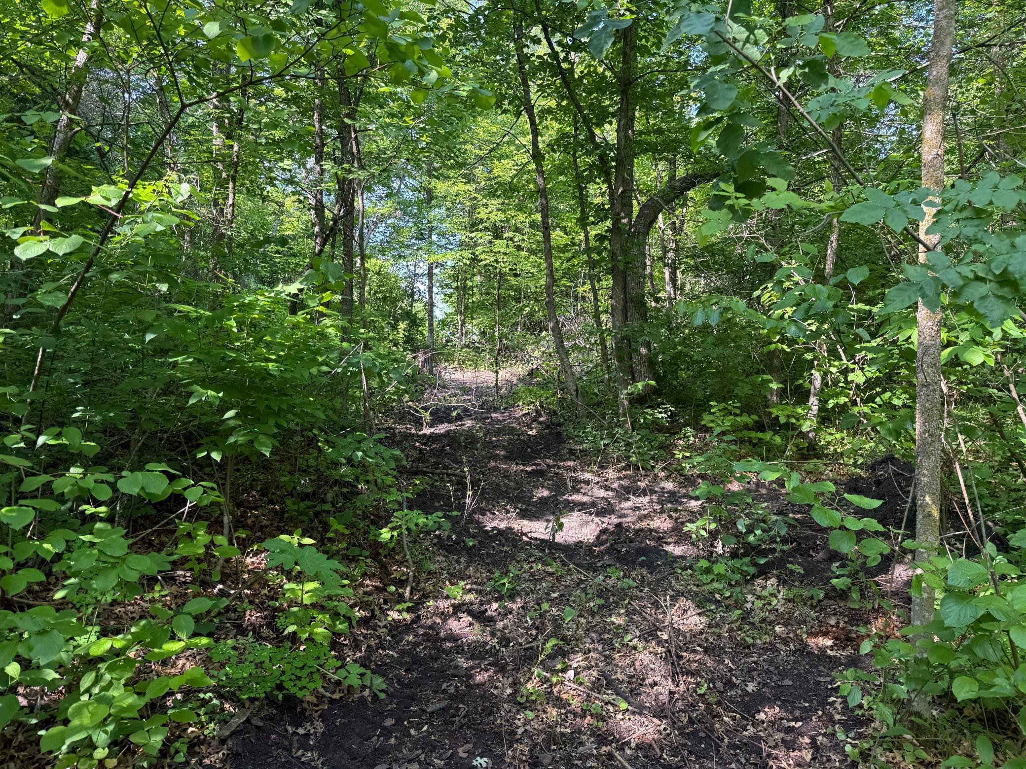 land for sale at TBD Catherine Lane in White Earth, MN (photo 33 of 33)