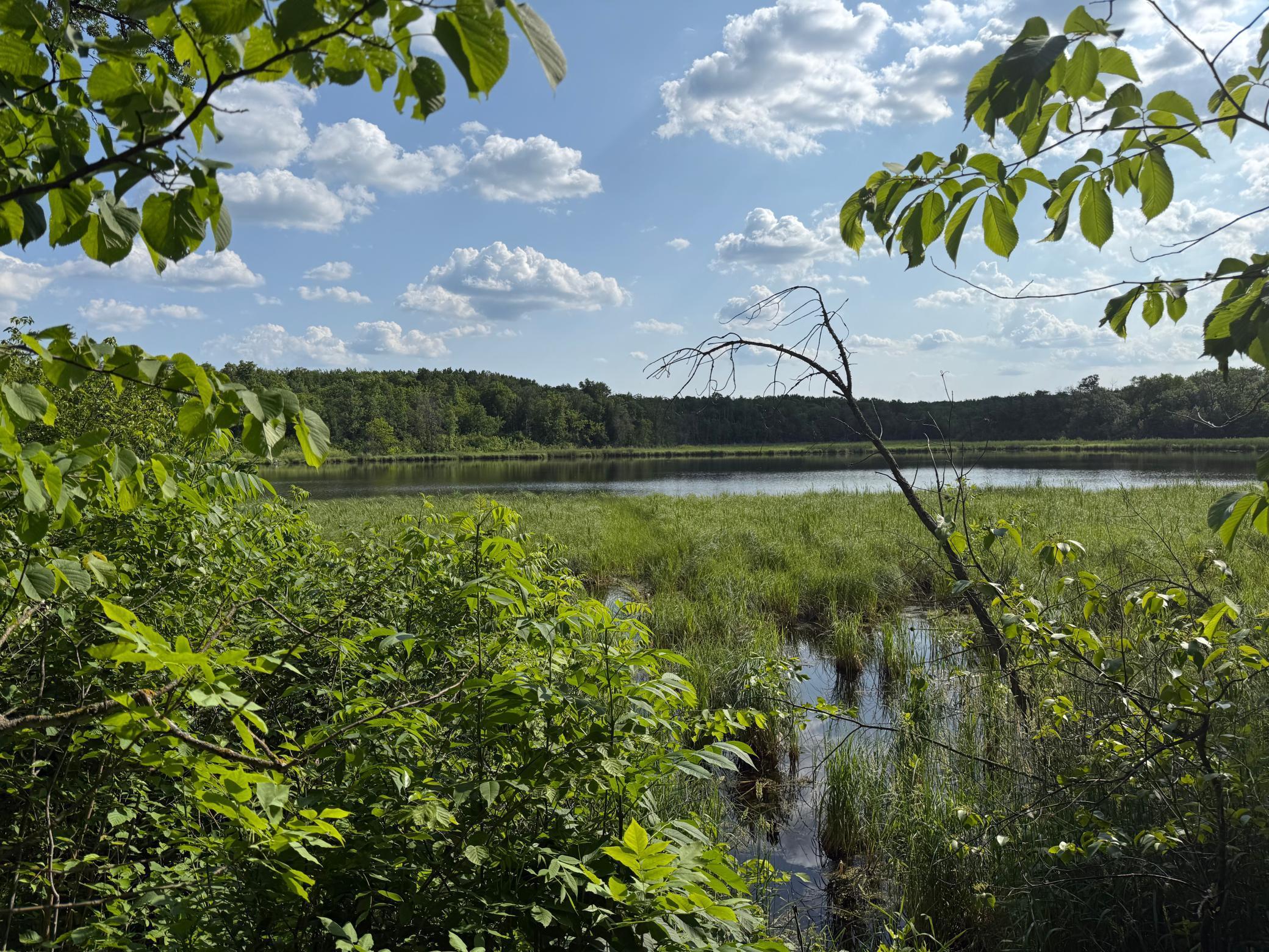 land for sale at TBD Catherine Lane in White Earth, MN (photo 7 of 33)