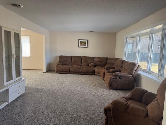 15717 Wermager Beach Road, Lake Park MN 56554 - Photo 5 of 11