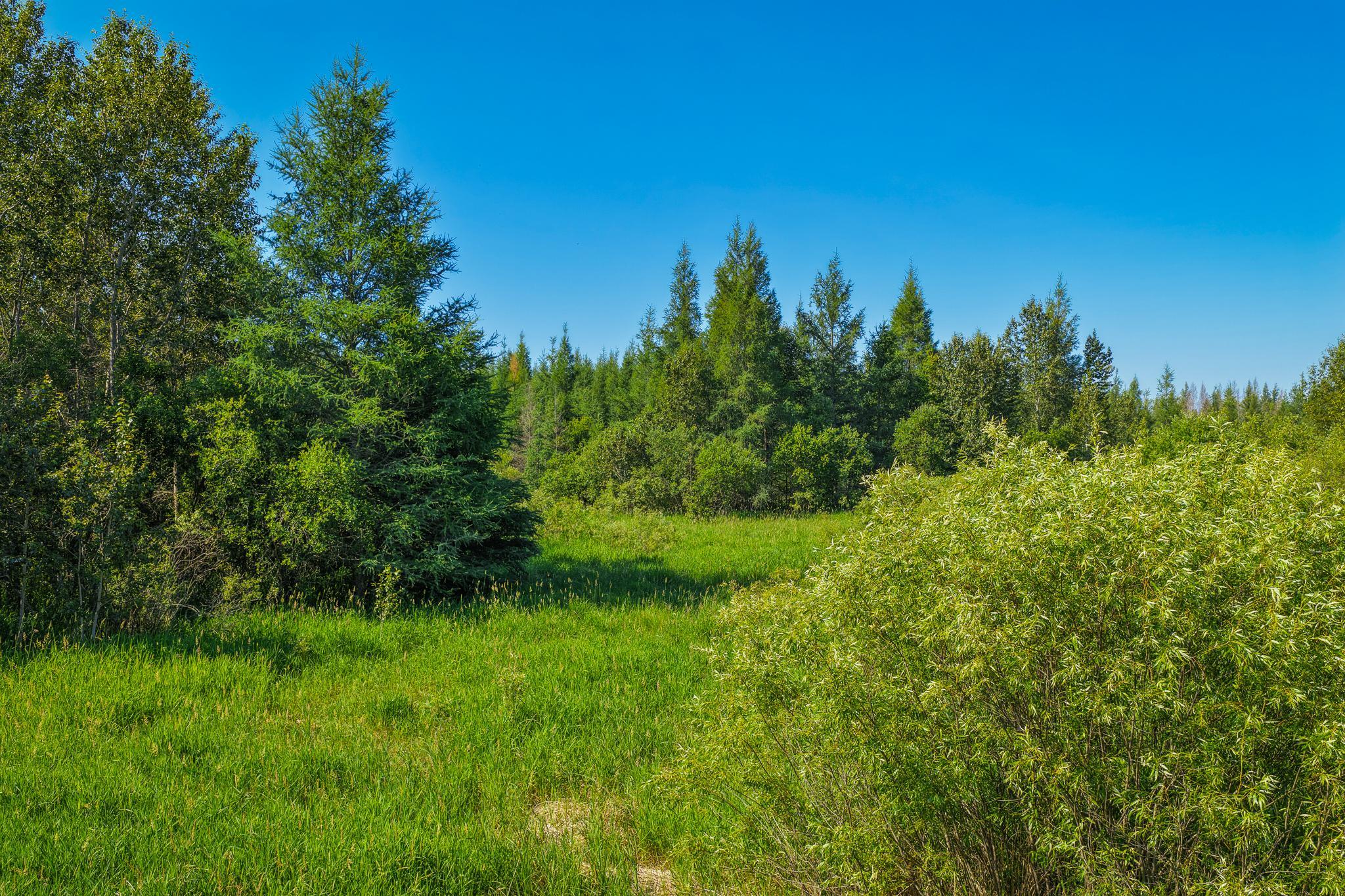 land for sale at TBD Three Mile Road NE in Blackduck, MN (photo 11 of 30)