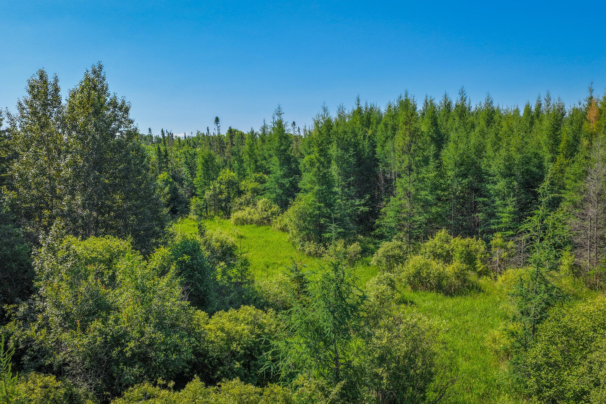 land for sale at TBD Three Mile Road NE in Blackduck, MN (photo 12 of 30)
