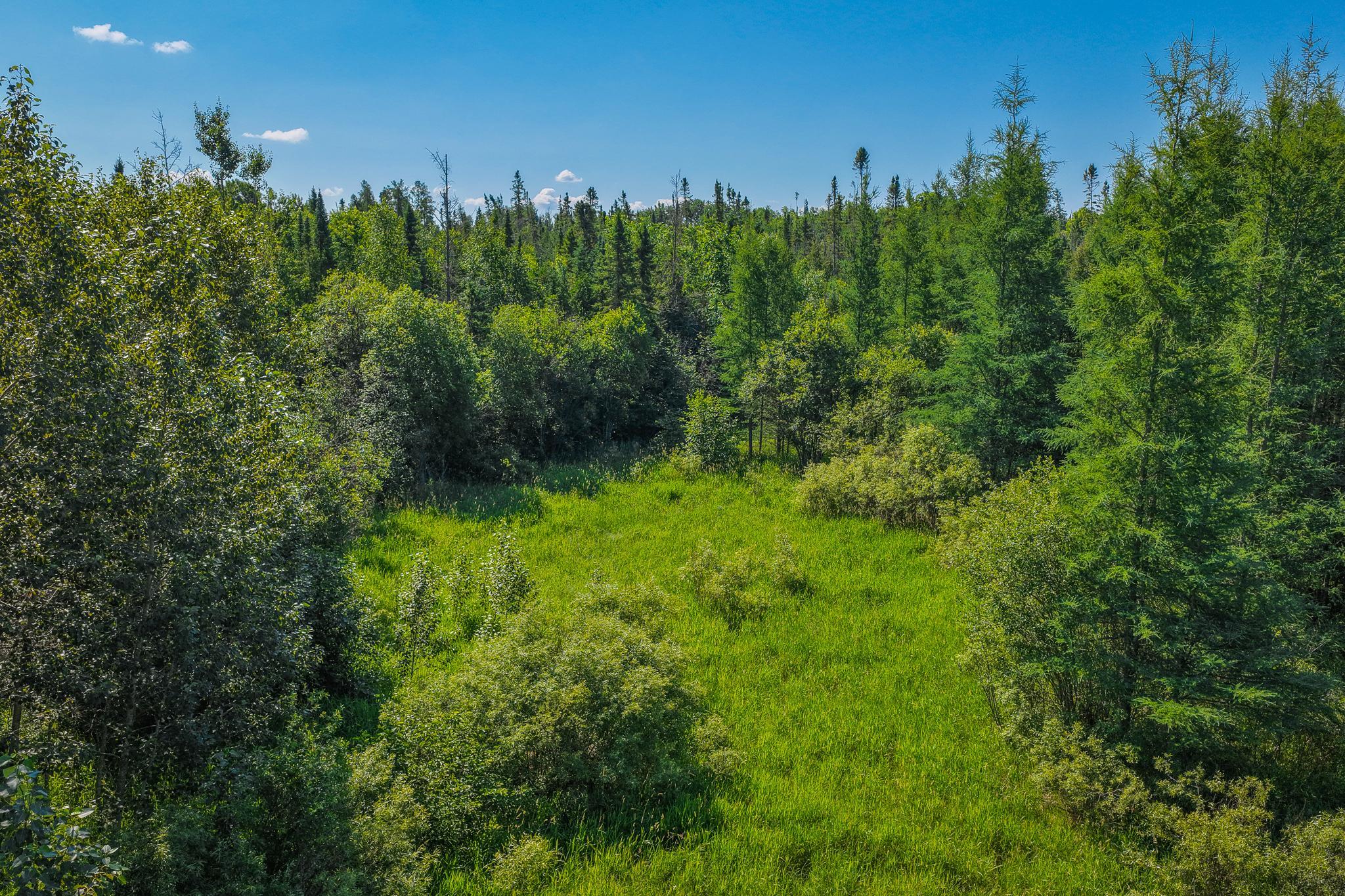 land for sale at TBD Three Mile Road NE in Blackduck, MN (photo 13 of 30)