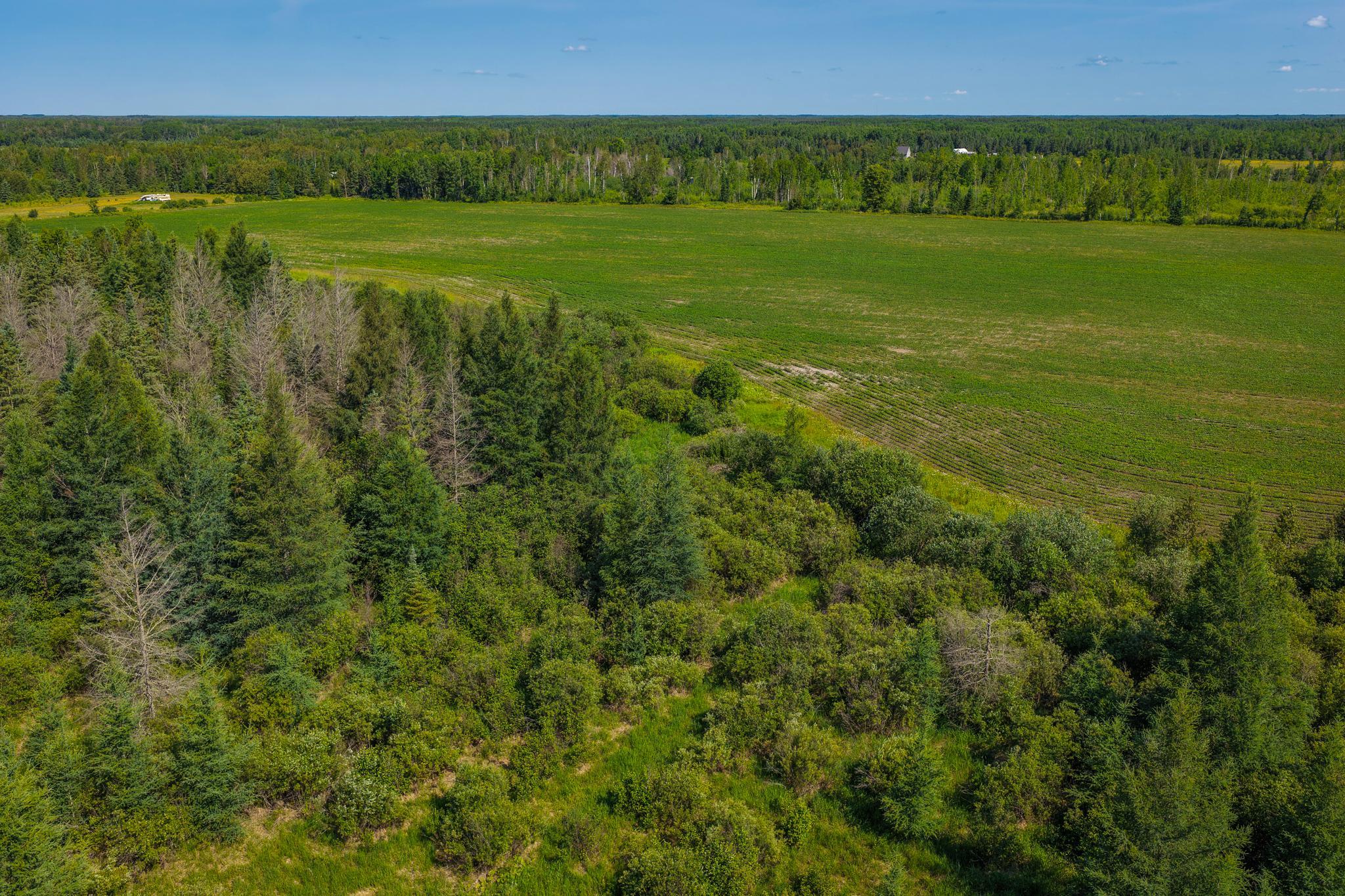 land for sale at TBD Three Mile Road NE in Blackduck, MN (photo 14 of 30)