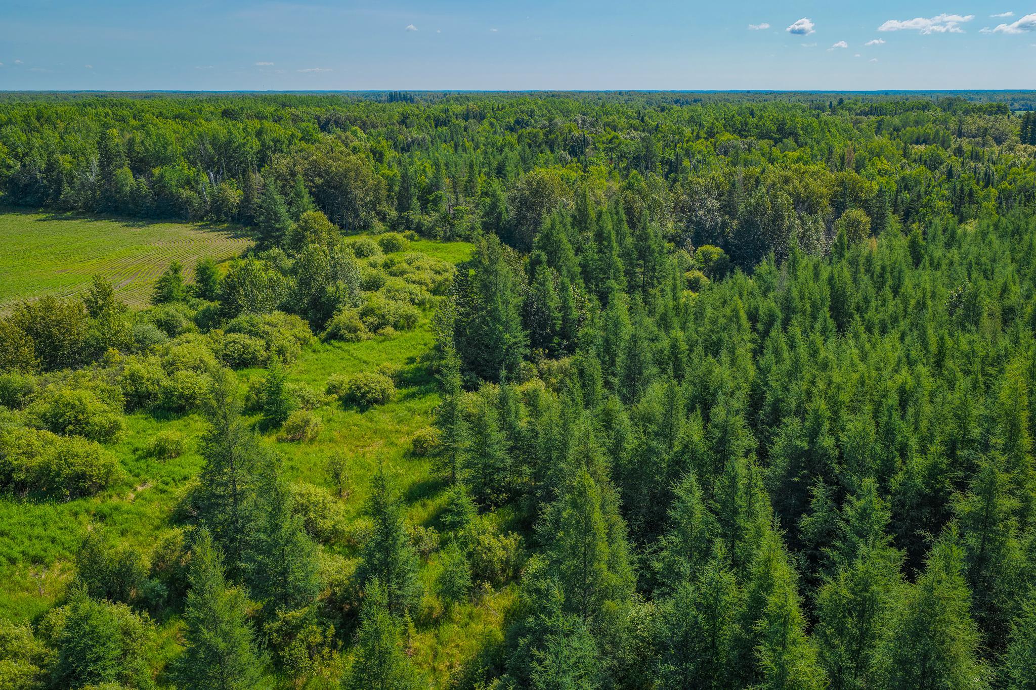 land for sale at TBD Three Mile Road NE in Blackduck, MN (photo 15 of 30)