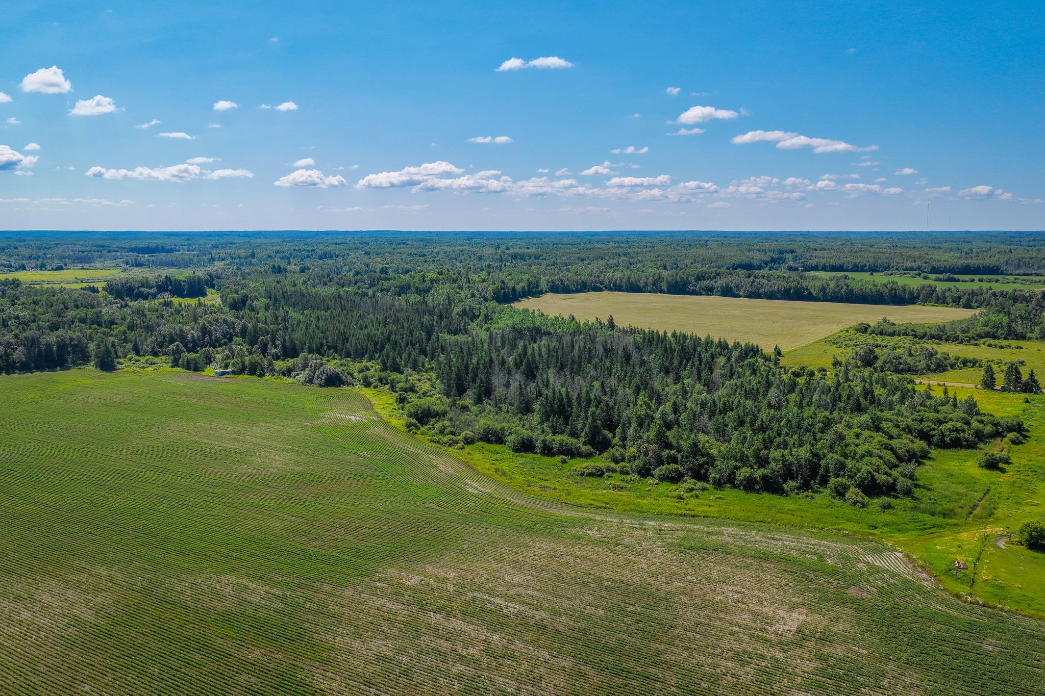 land for sale at TBD Three Mile Road NE in Blackduck, MN (photo 16 of 30)