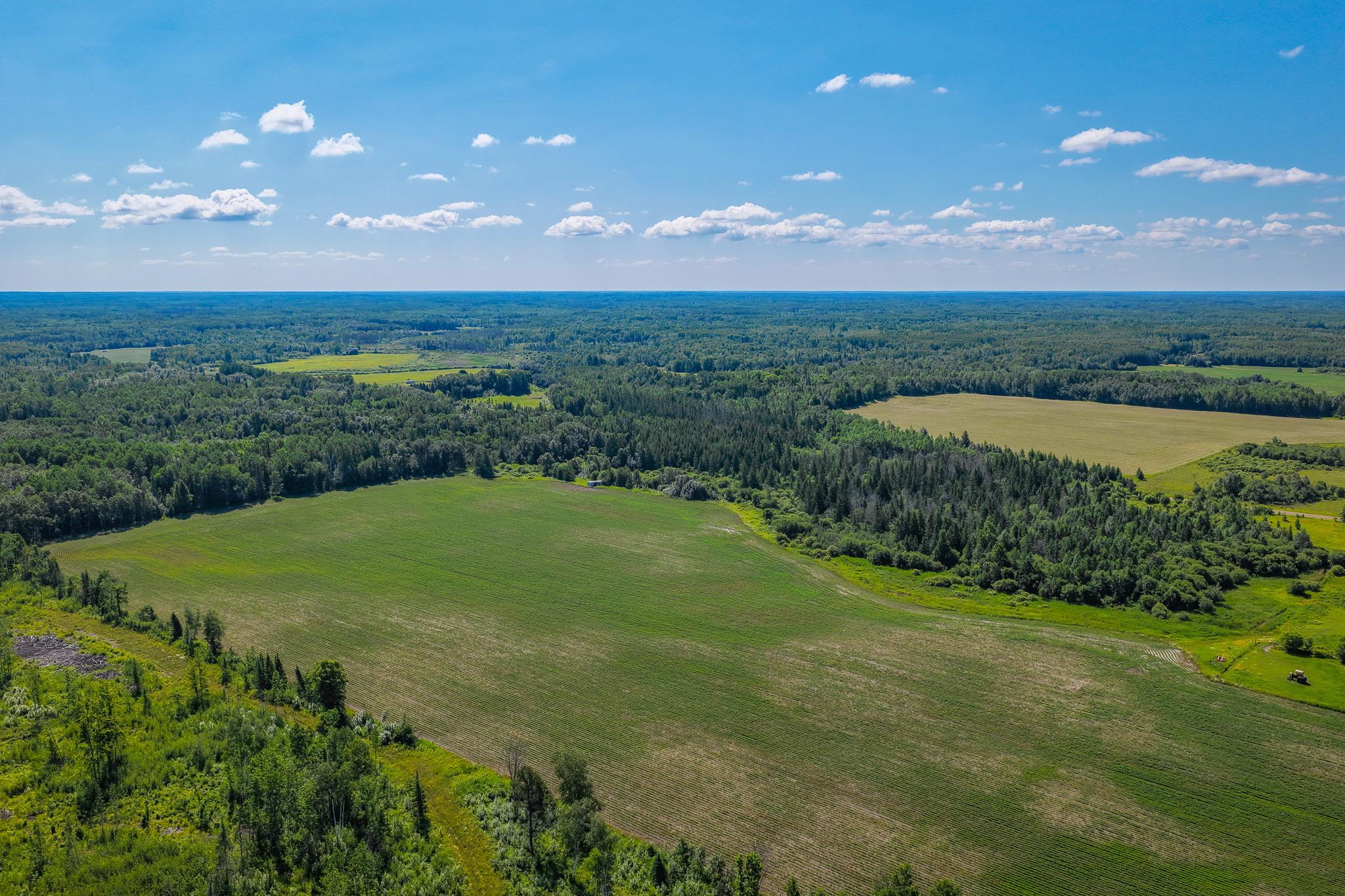 land for sale at TBD Three Mile Road NE in Blackduck, MN (photo 17 of 30)