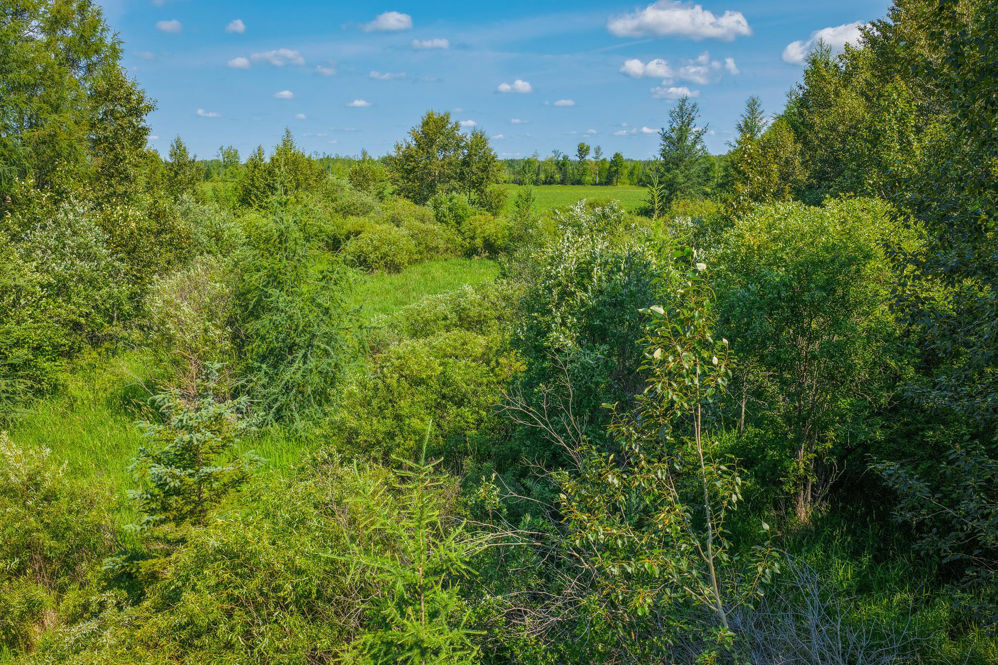 land for sale at TBD Three Mile Road NE in Blackduck, MN (photo 18 of 30)