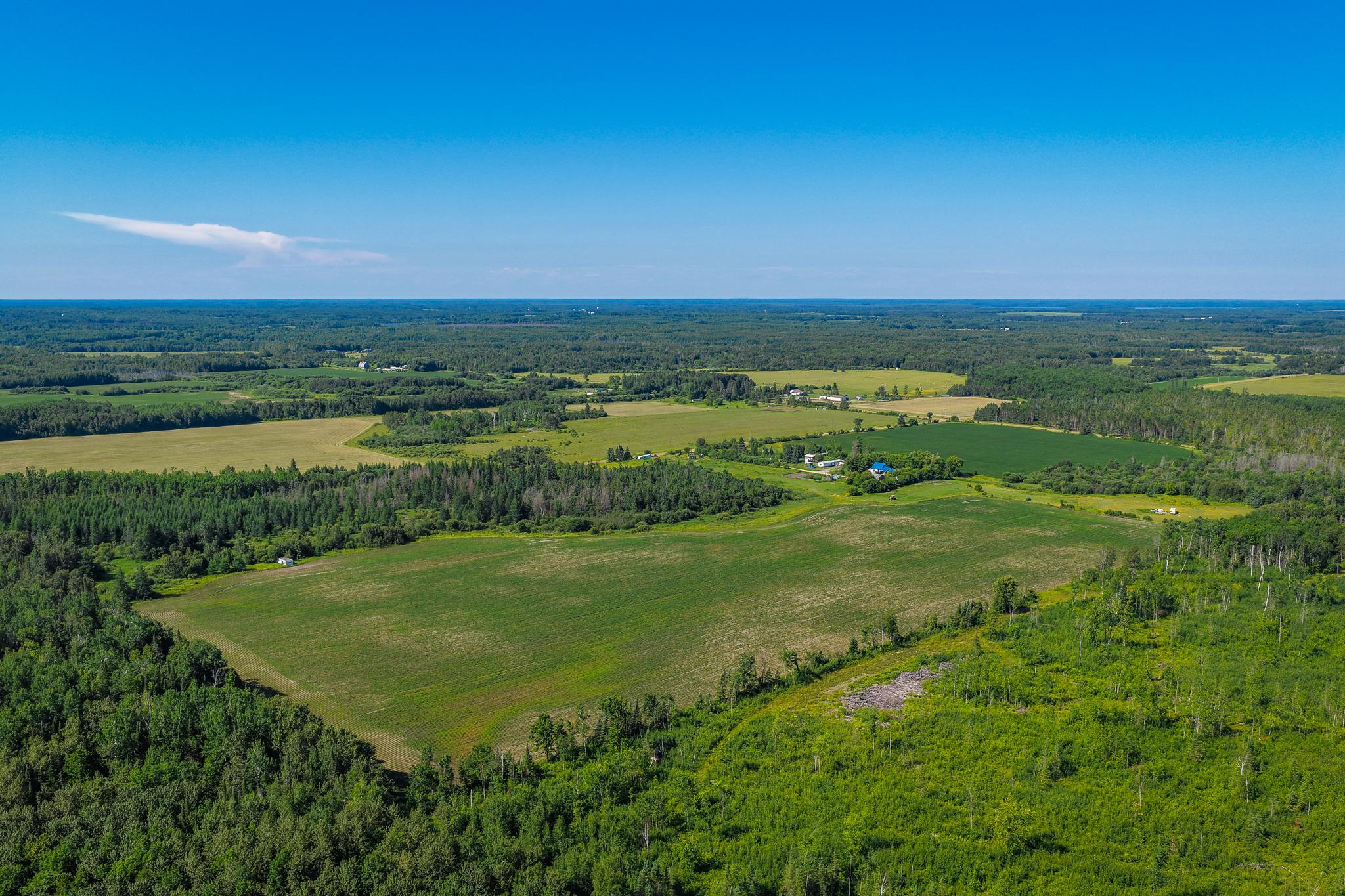 land for sale at TBD Three Mile Road NE in Blackduck, MN (photo 3 of 30)