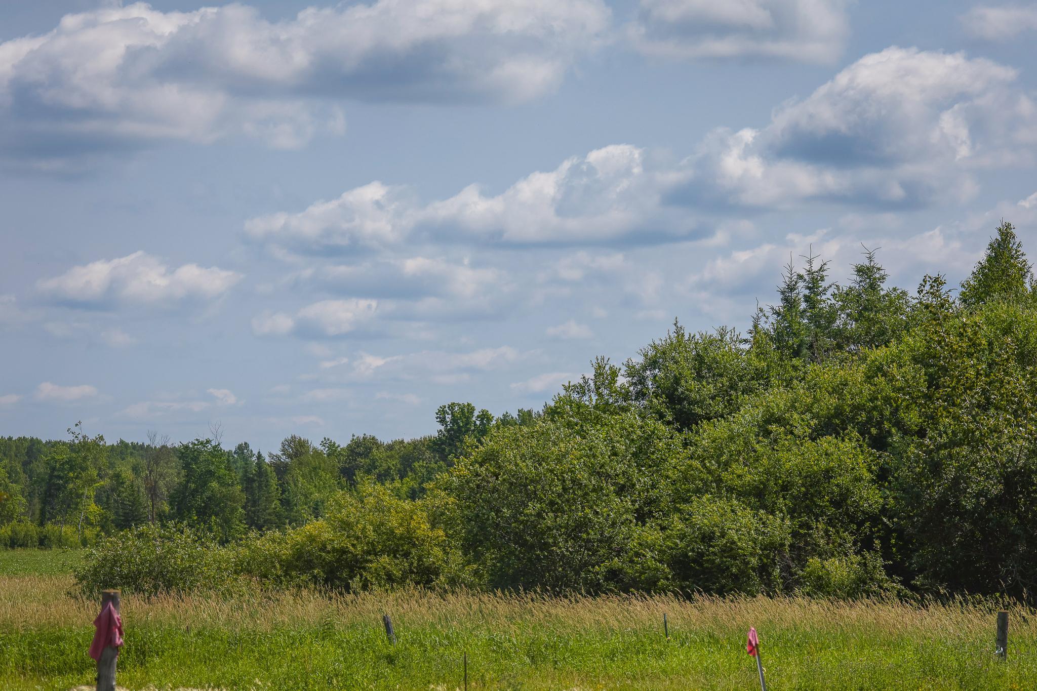land for sale at TBD Three Mile Road NE in Blackduck, MN (photo 28 of 30)