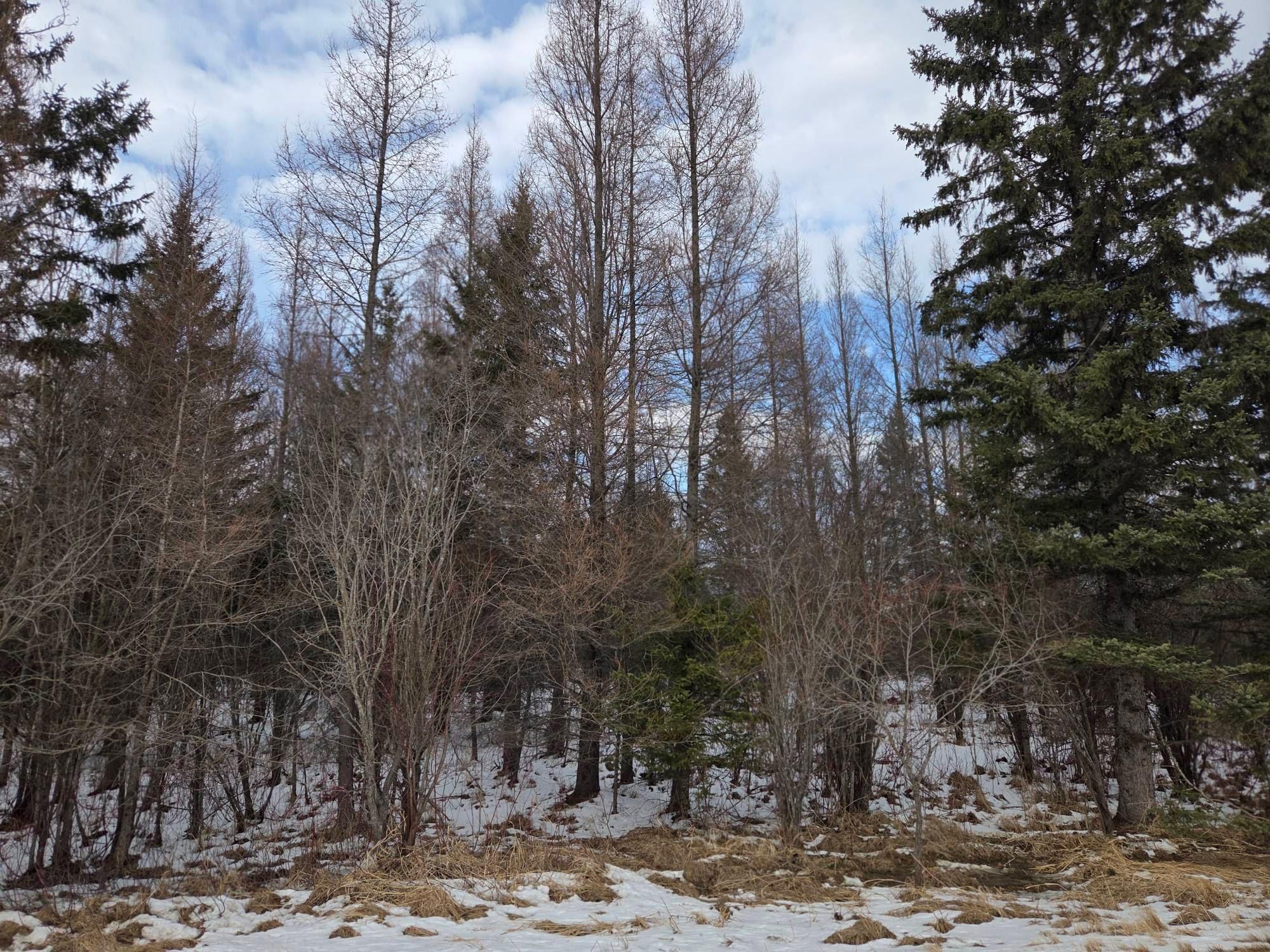 TBD Three Mile Road NE, Blackduck MN 56630 - Photo 2 of 3