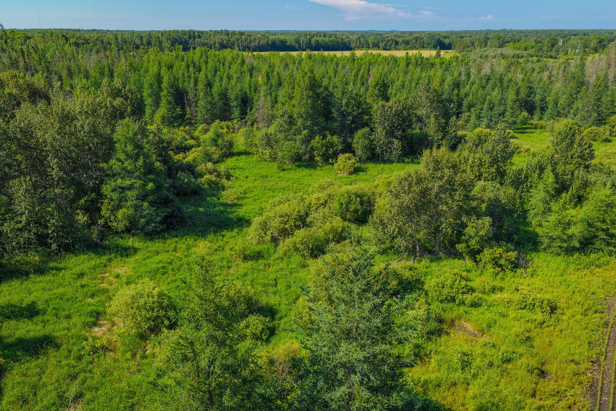 land for sale at TBD Three Mile Road NE in Blackduck, MN (photo 5 of 30)