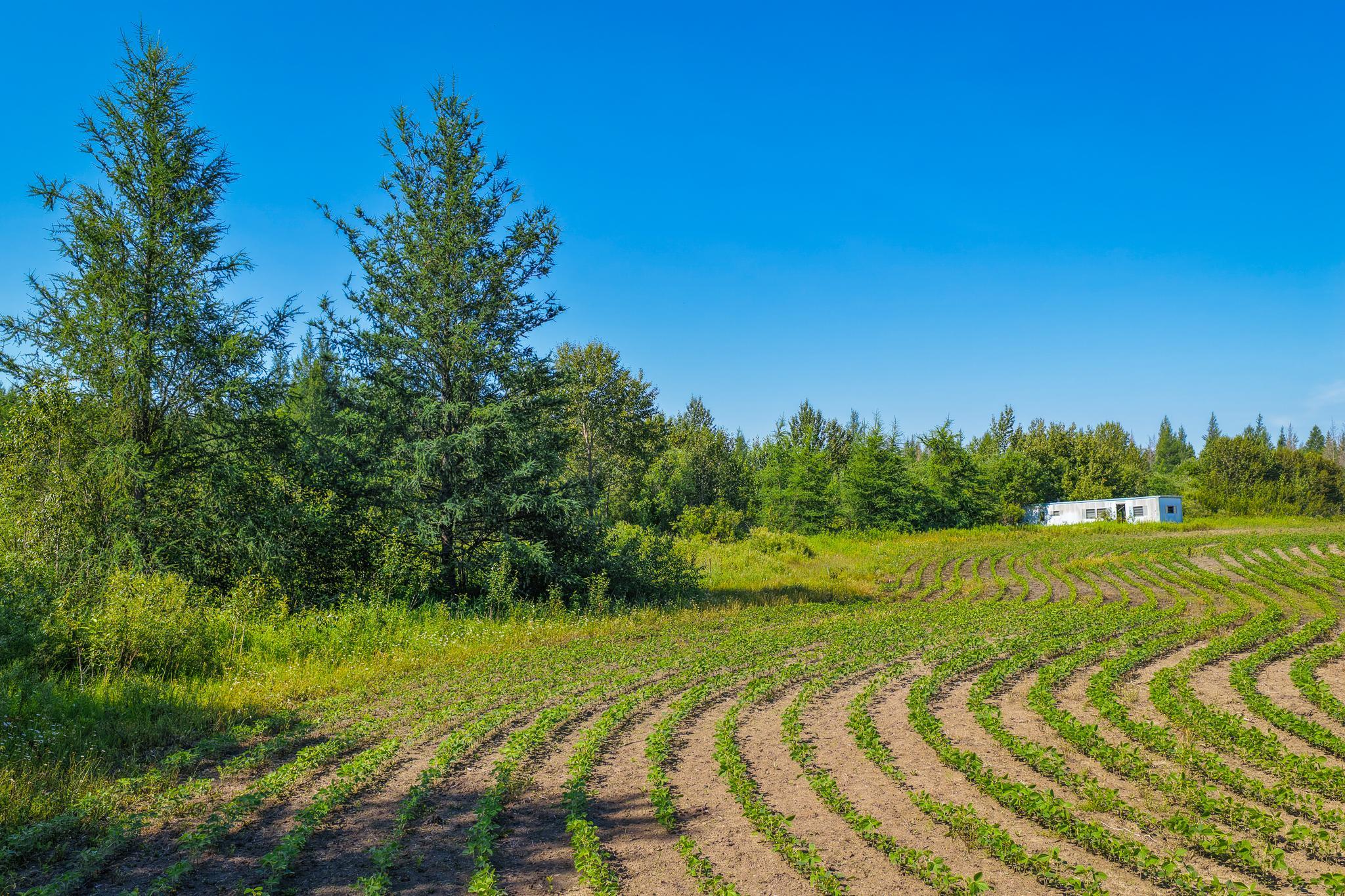 land for sale at TBD Three Mile Road NE in Blackduck, MN (photo 10 of 30)