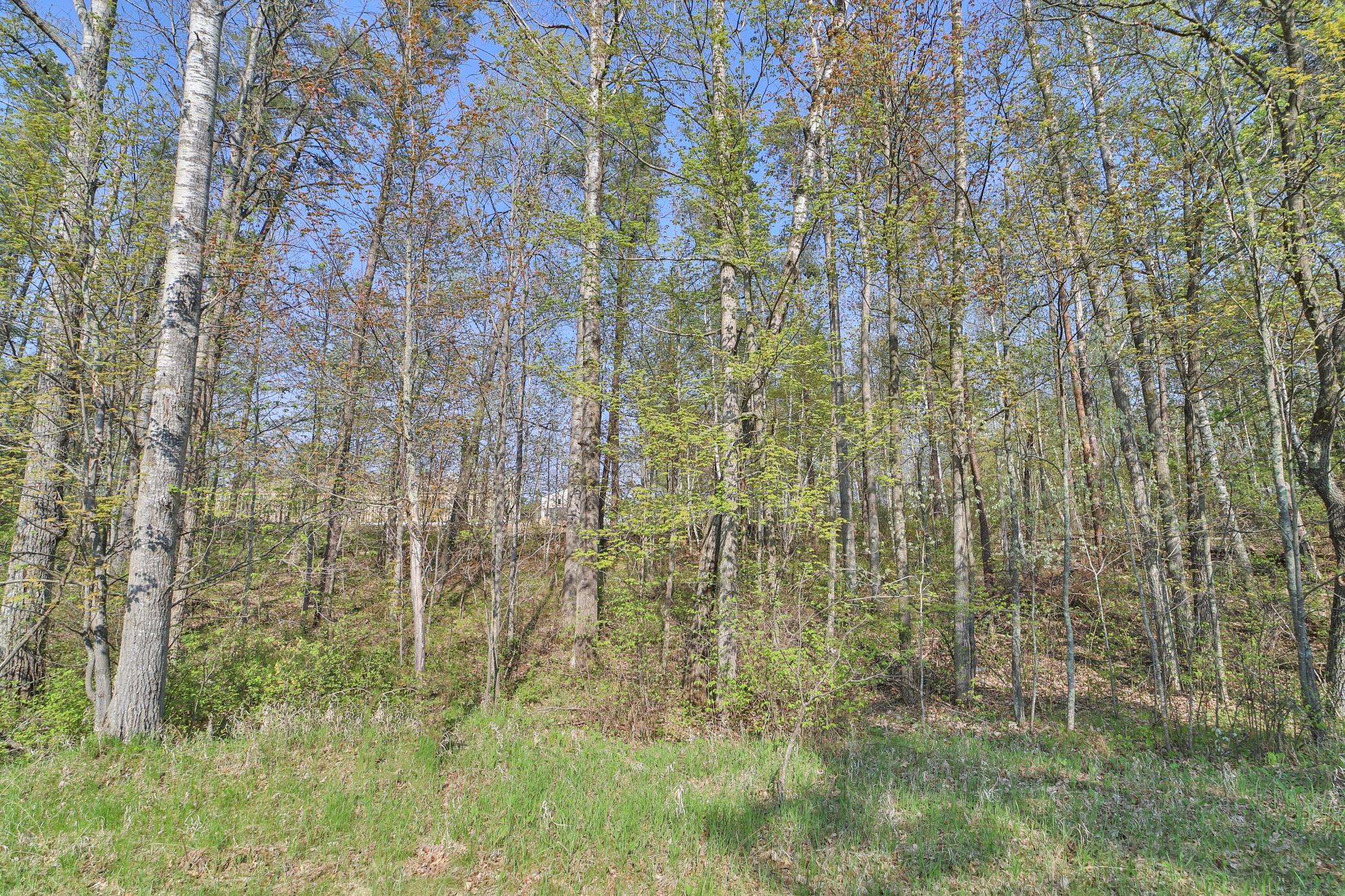 land for sale at Lots 5, 6, 7 Terminal Road in Breezy Point, MN (photo 4 of 9)