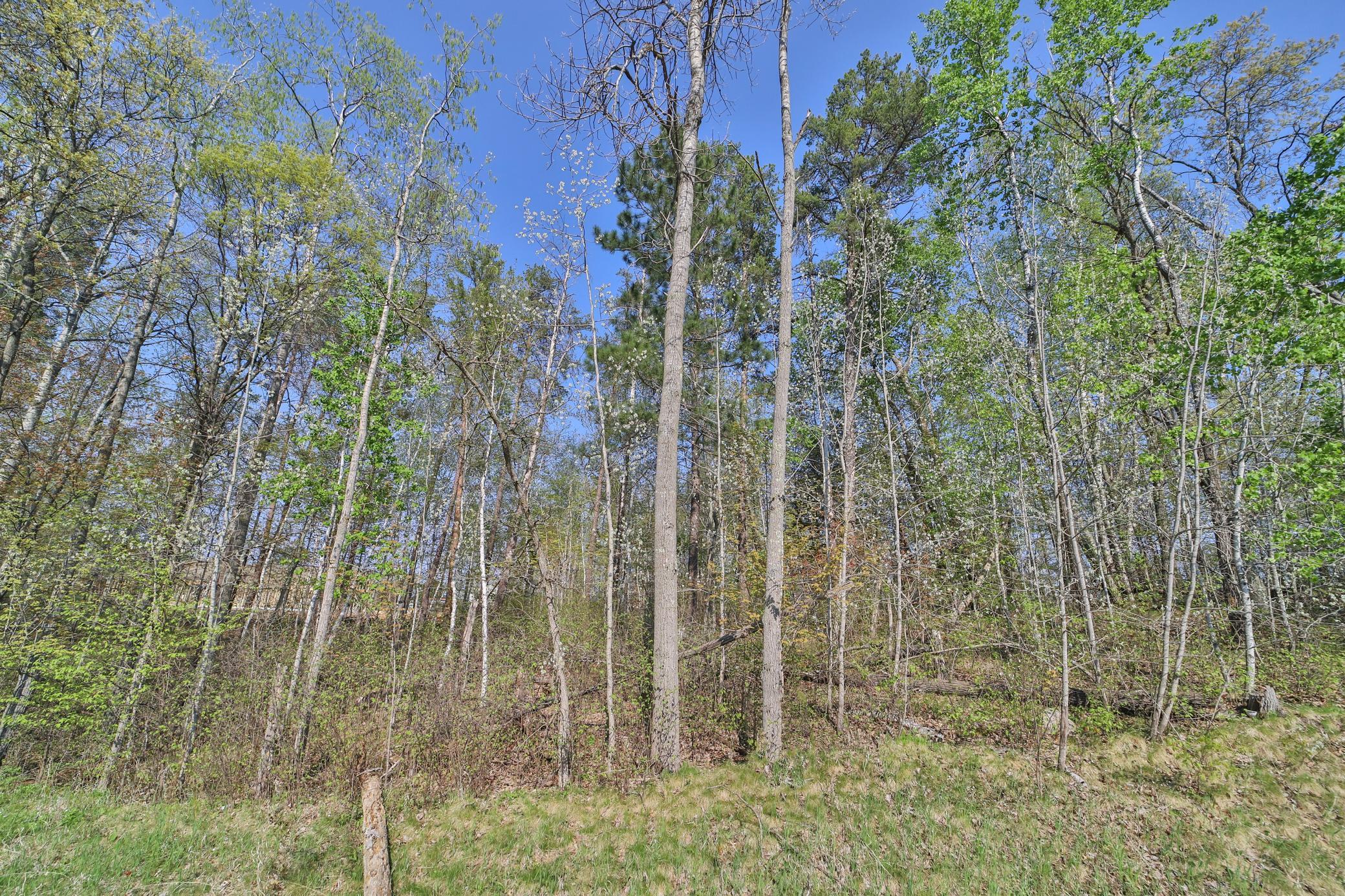 land for sale at Lots 5, 6, 7 Terminal Road in Breezy Point, MN (photo 6 of 9)